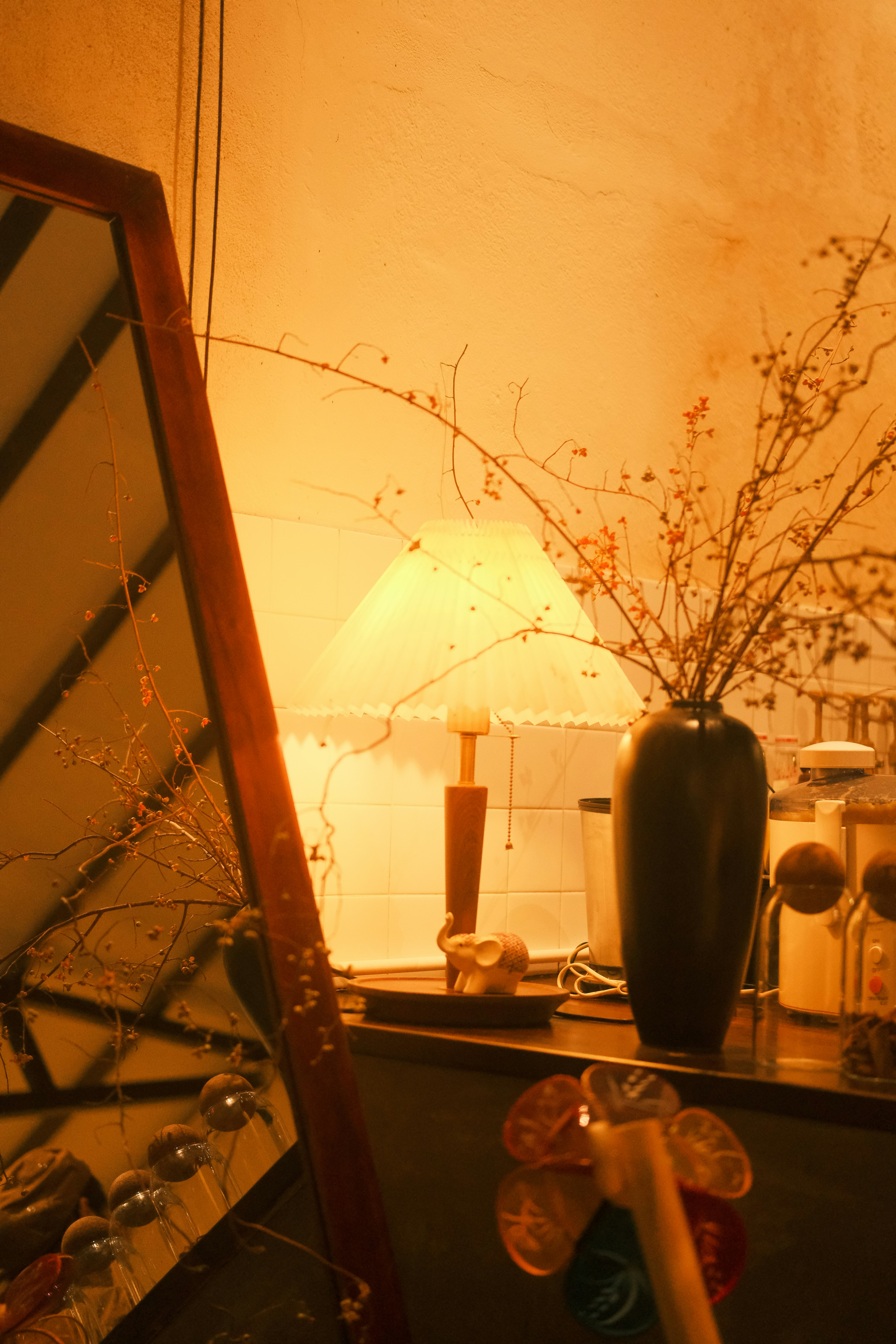 Photo by tutrananh109