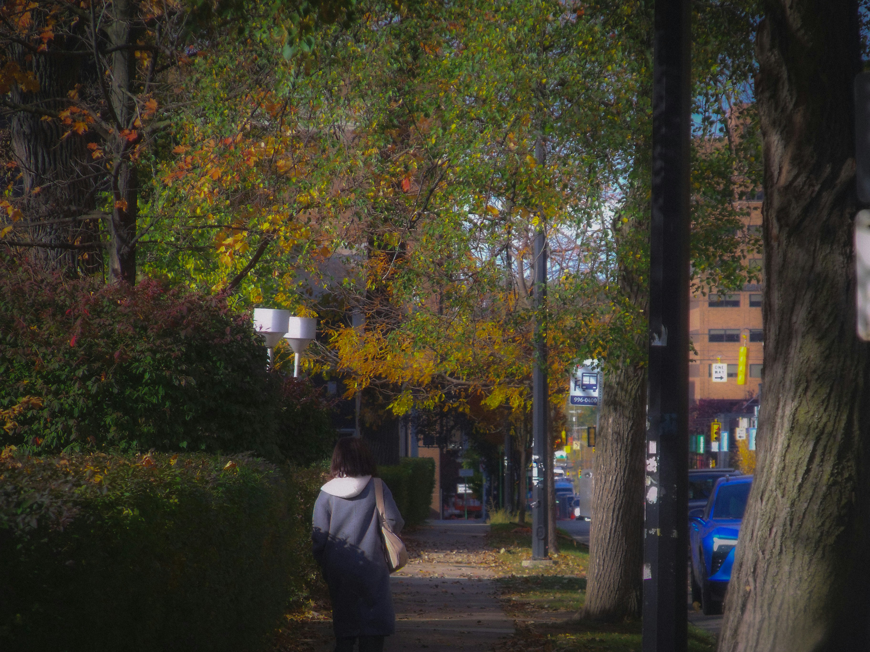 You Lost Your Commute and You Never Got It Back — Here's How to Create One That Actually Heals You