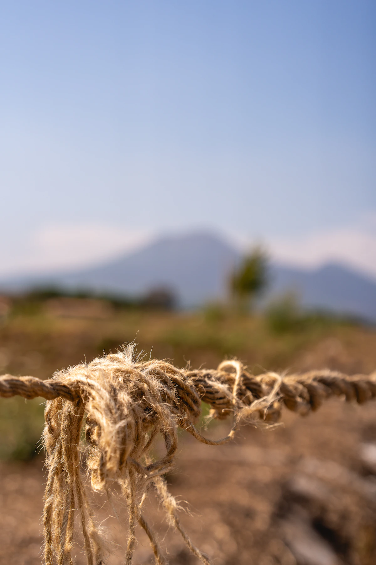 Industrial Jute Twine — 3-Ply (50kg)
