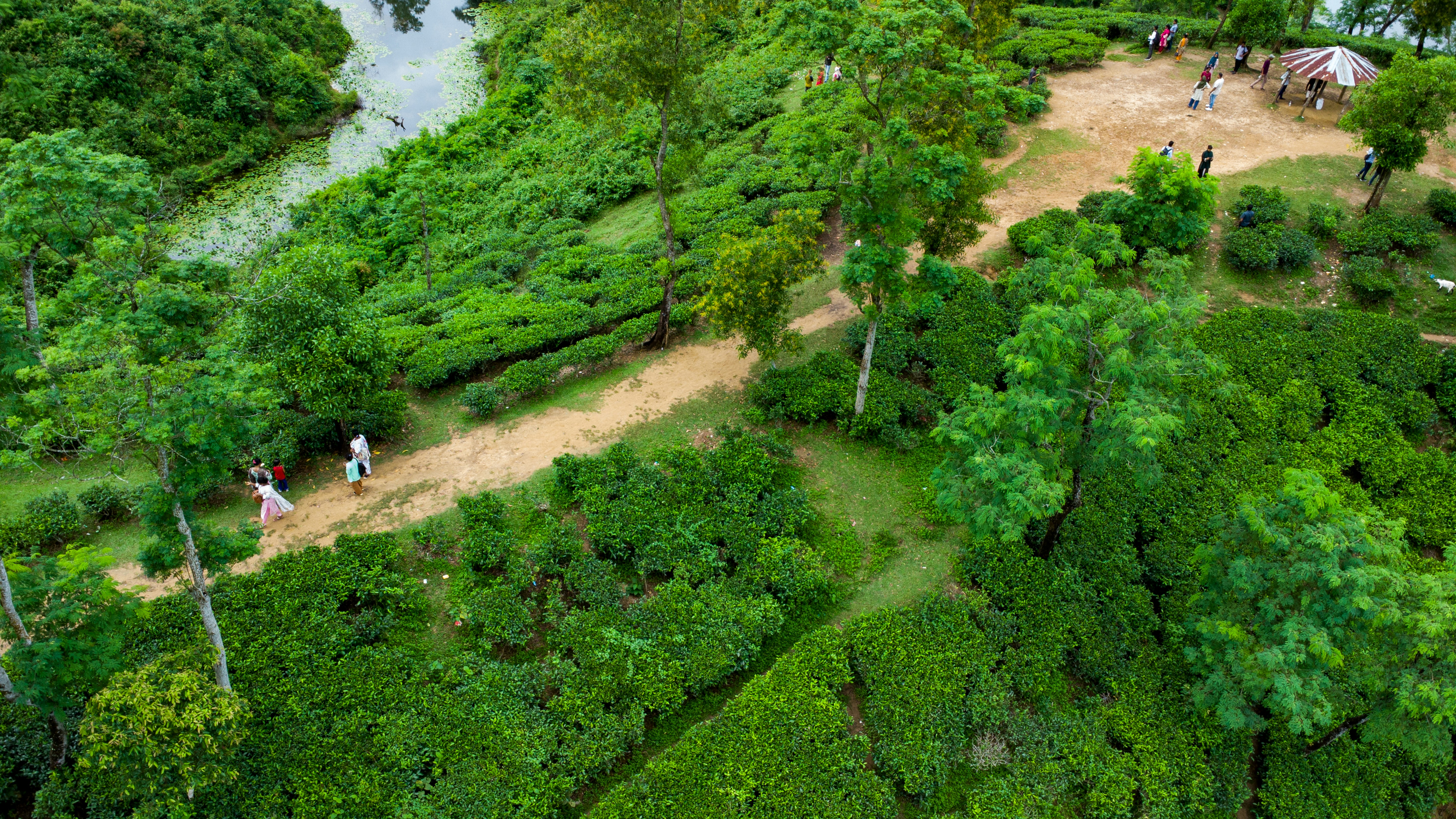 Photo by rumonbangladesh12