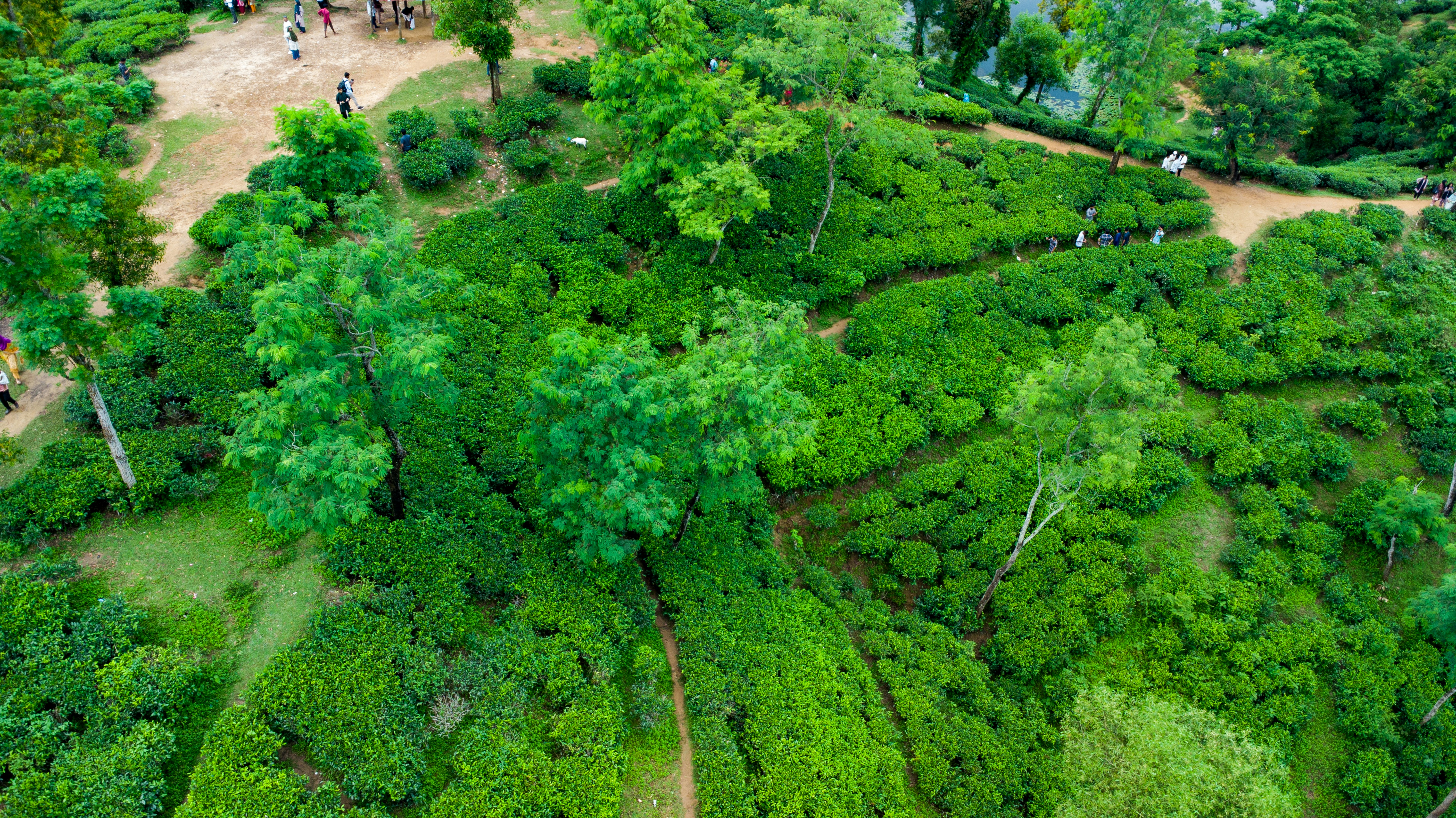 Photo by rumonbangladesh12