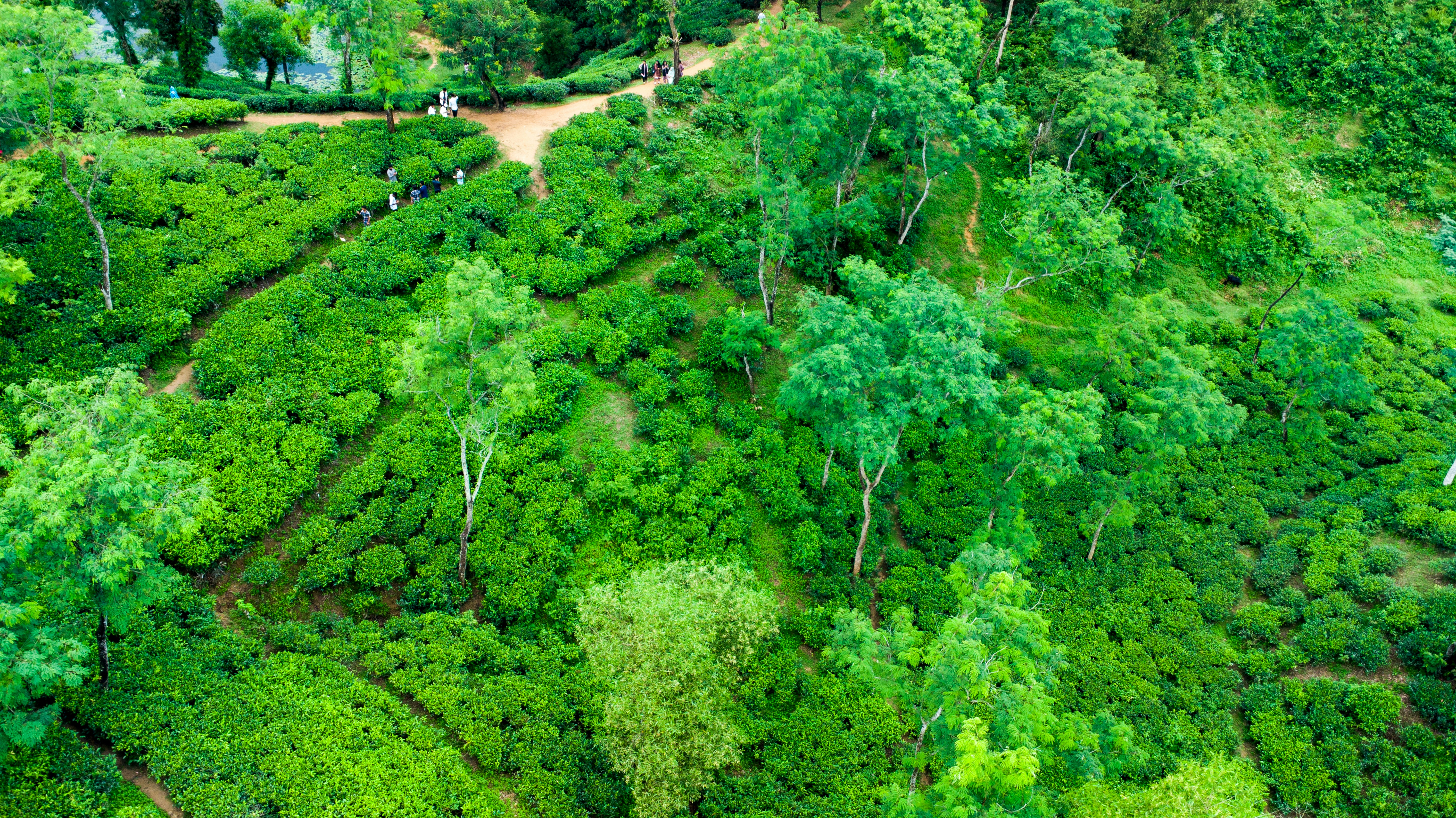 Photo by rumonbangladesh12