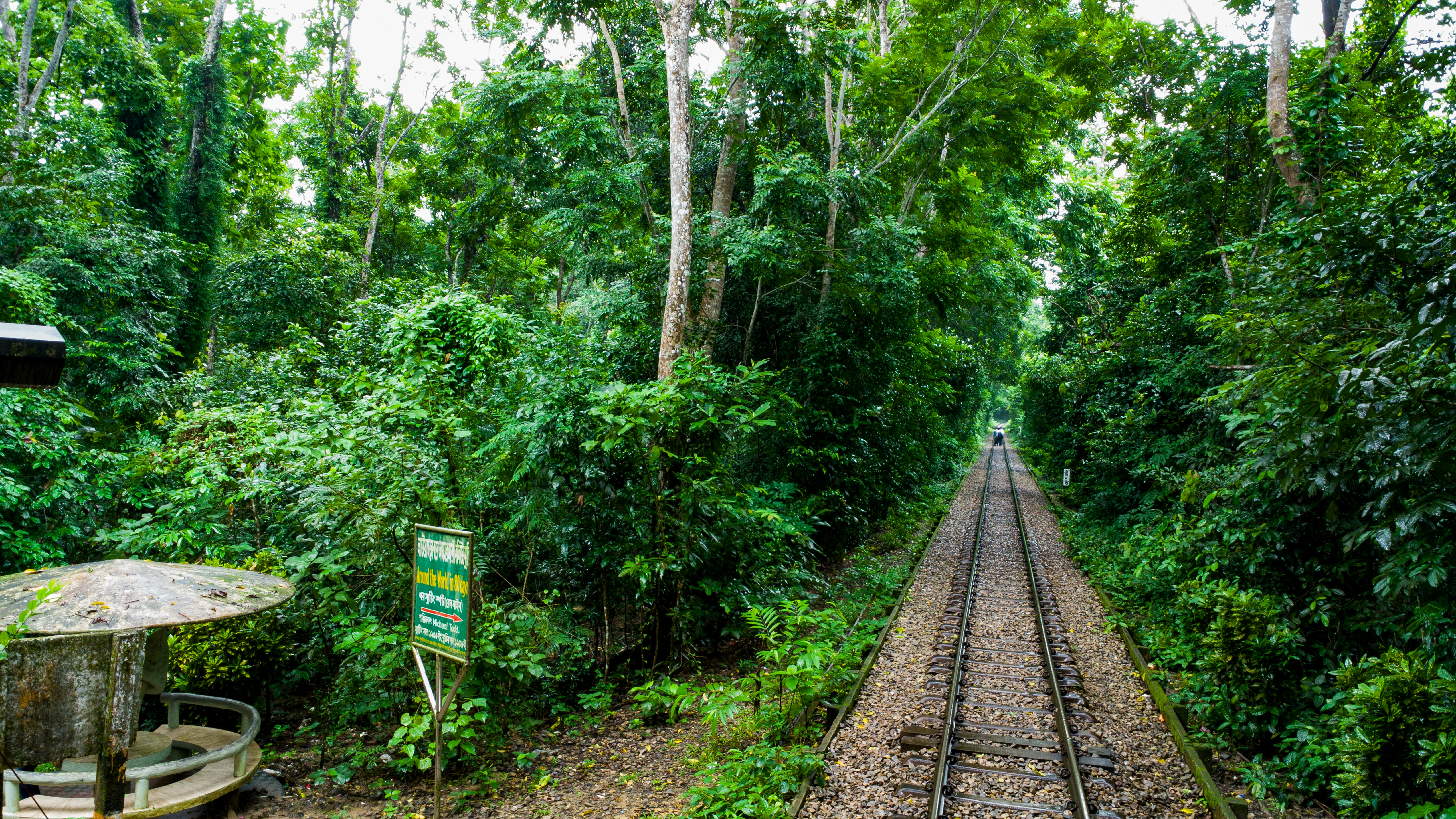 Photo by rumonbangladesh12