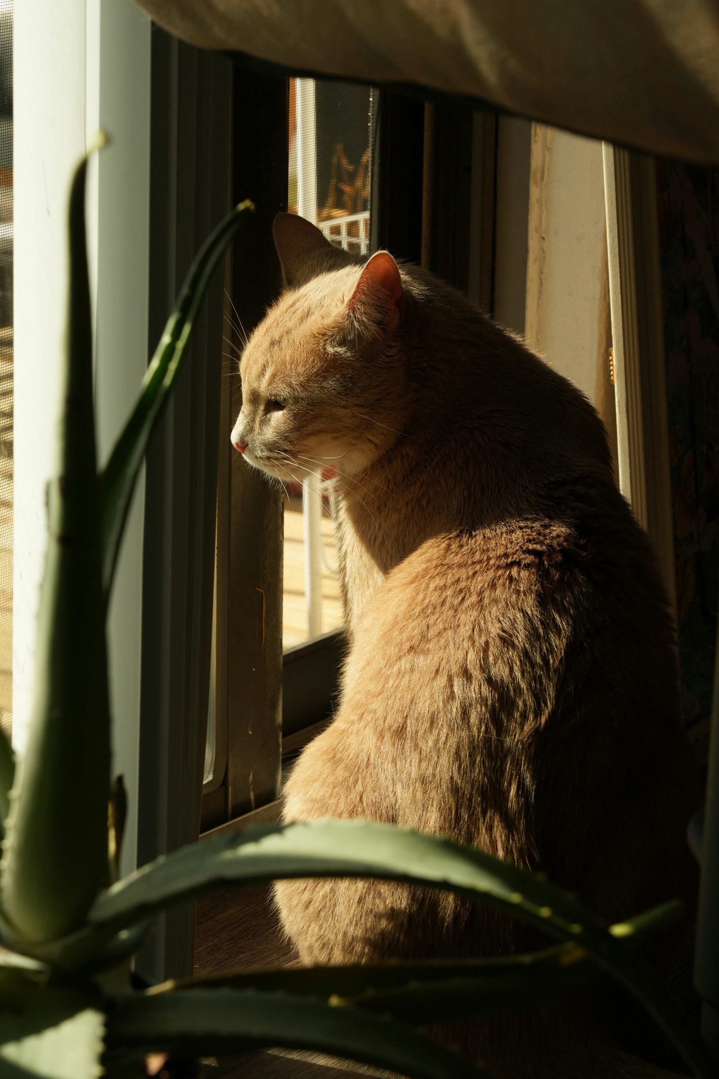 Photo by boysenberriefairie