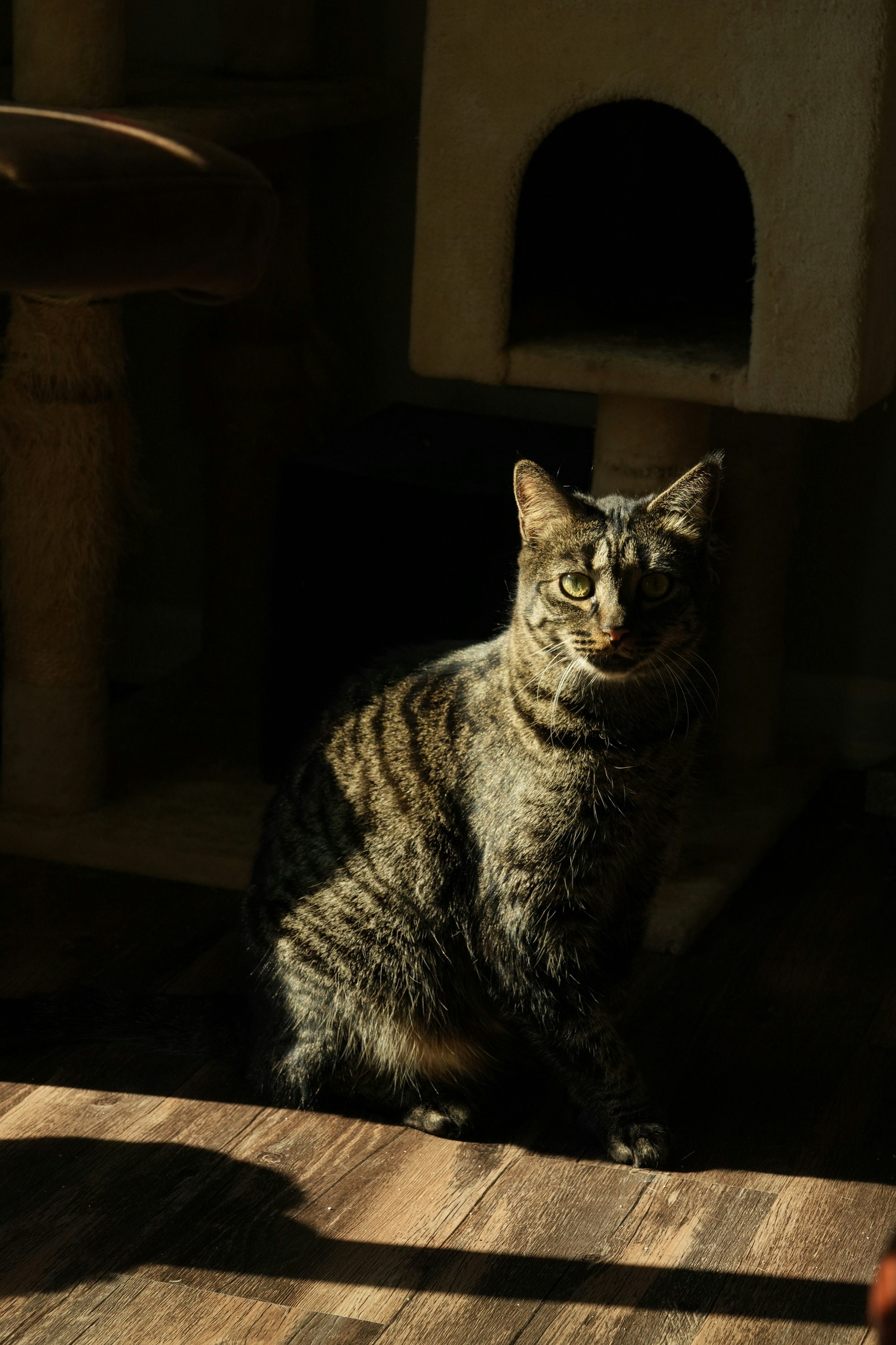 Photo by boysenberriefairie