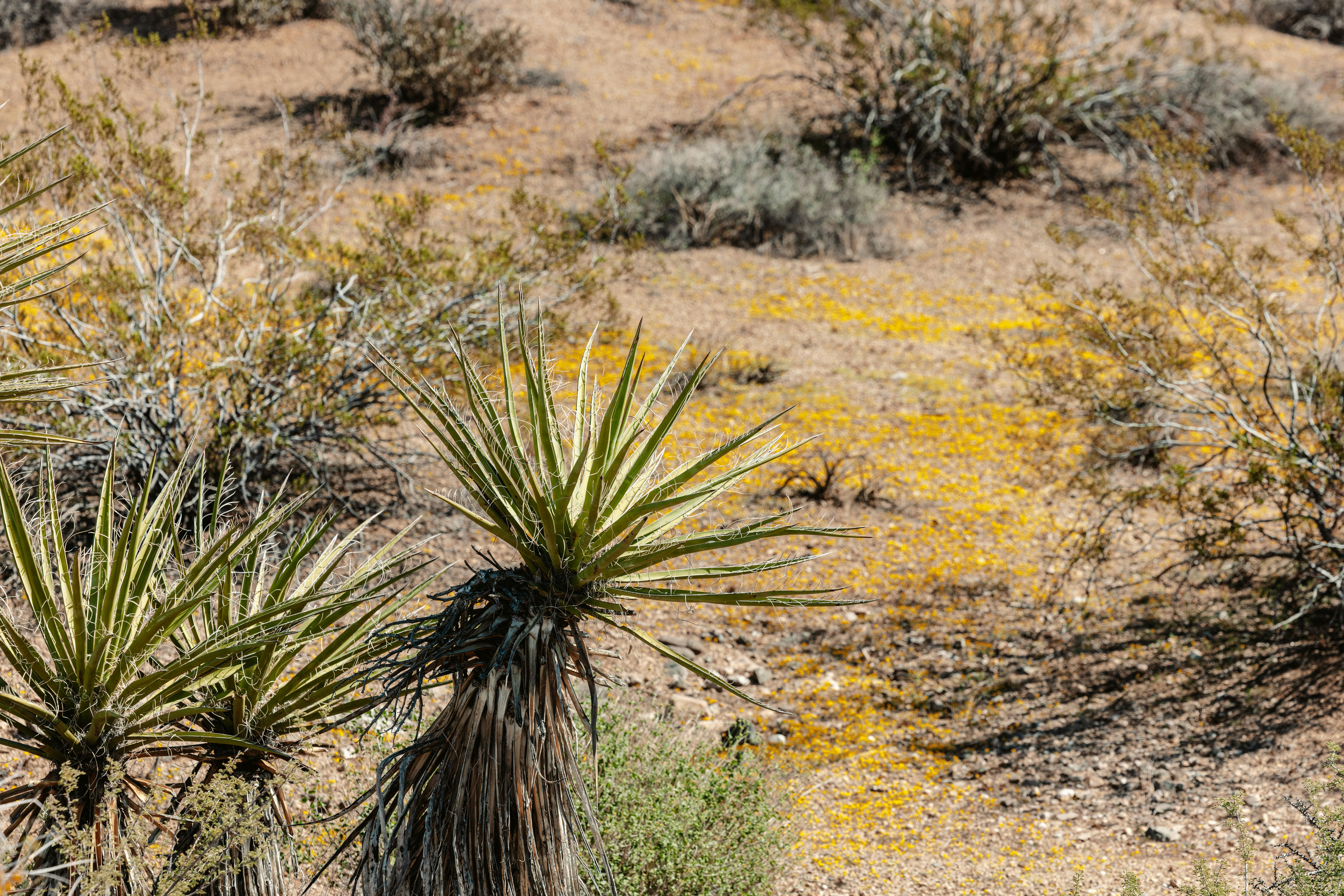 Photo by casunshine0508