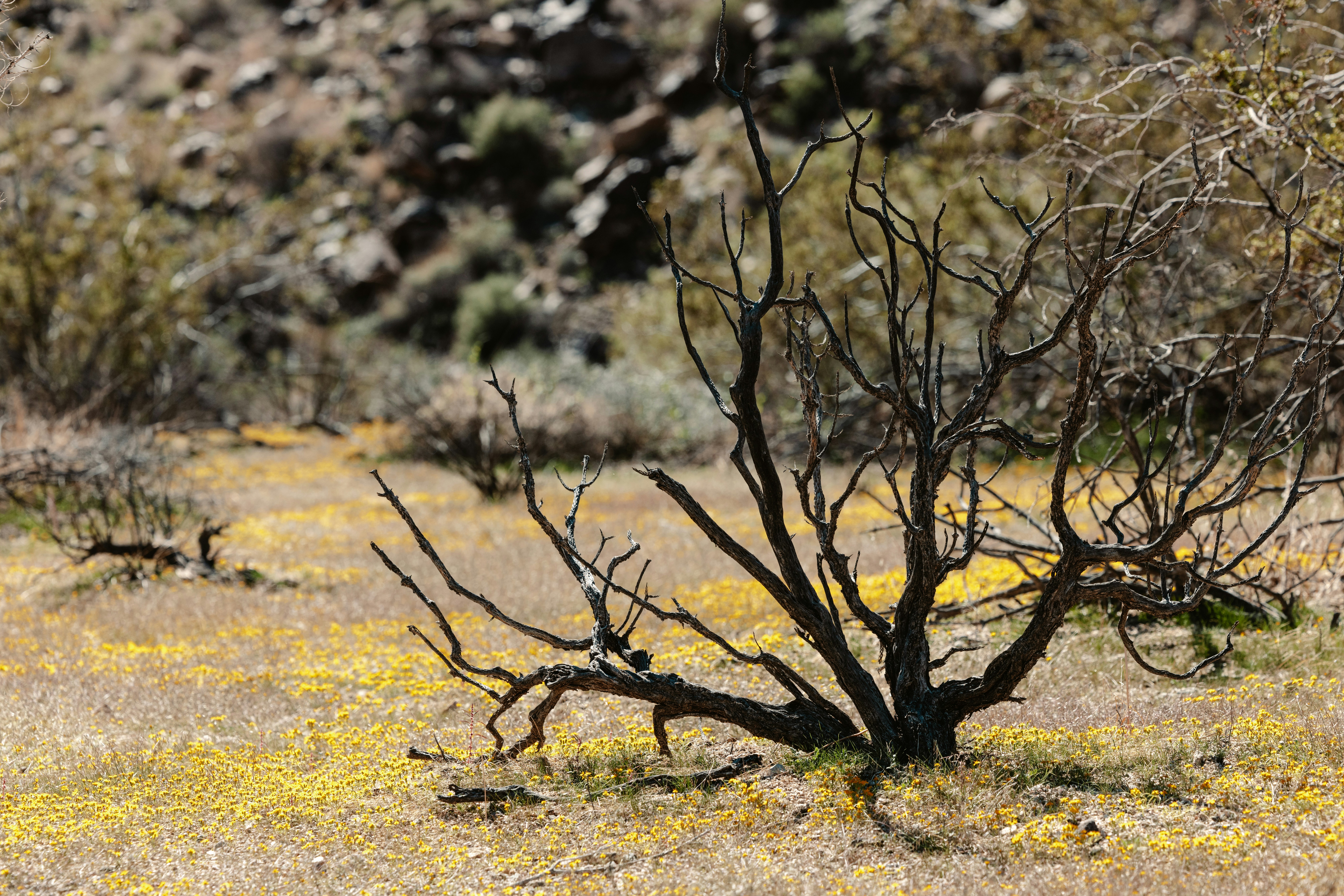 Photo by casunshine0508