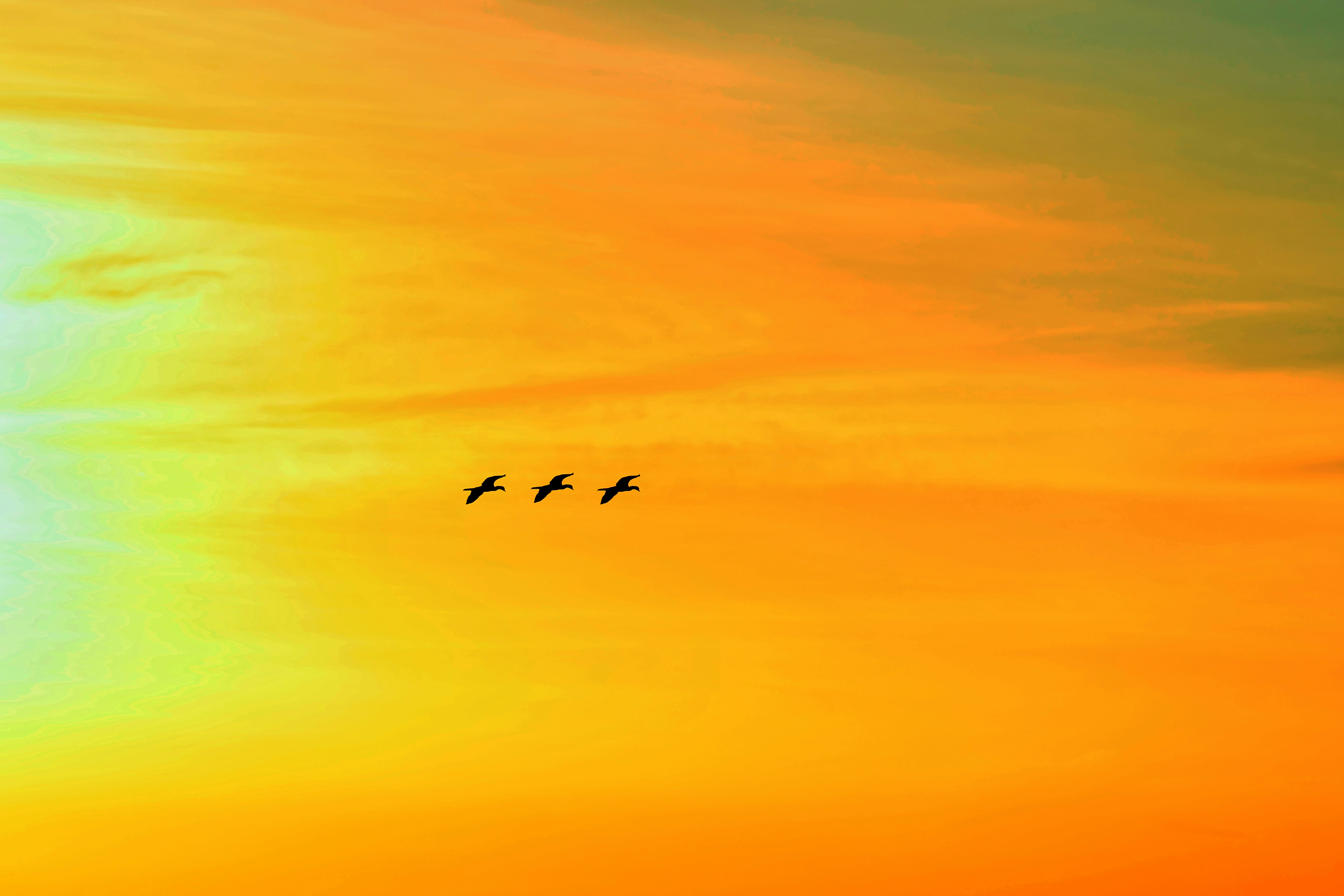 Photo by yashpixstudio