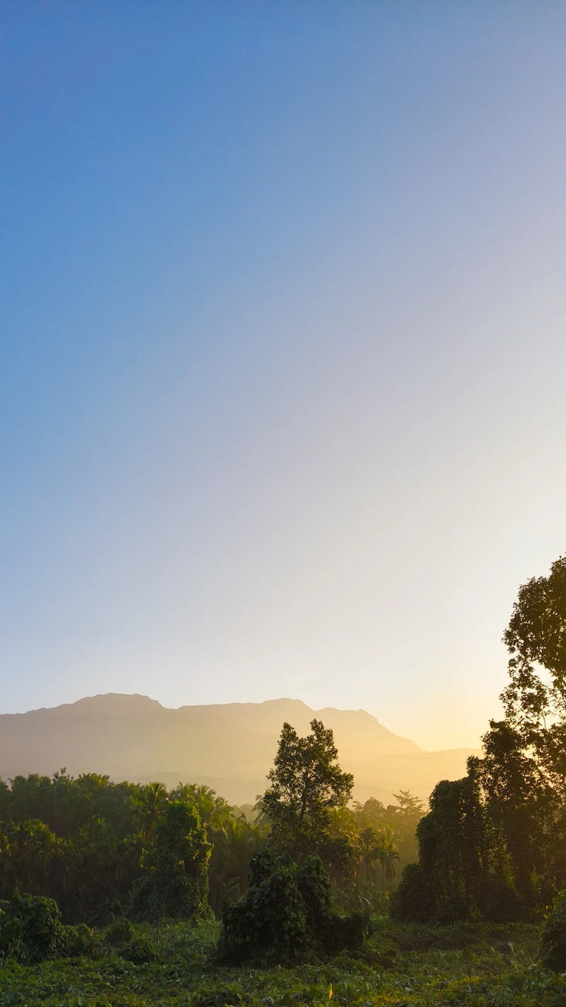 Sunrise breaks over misty mountains and a sea of green.