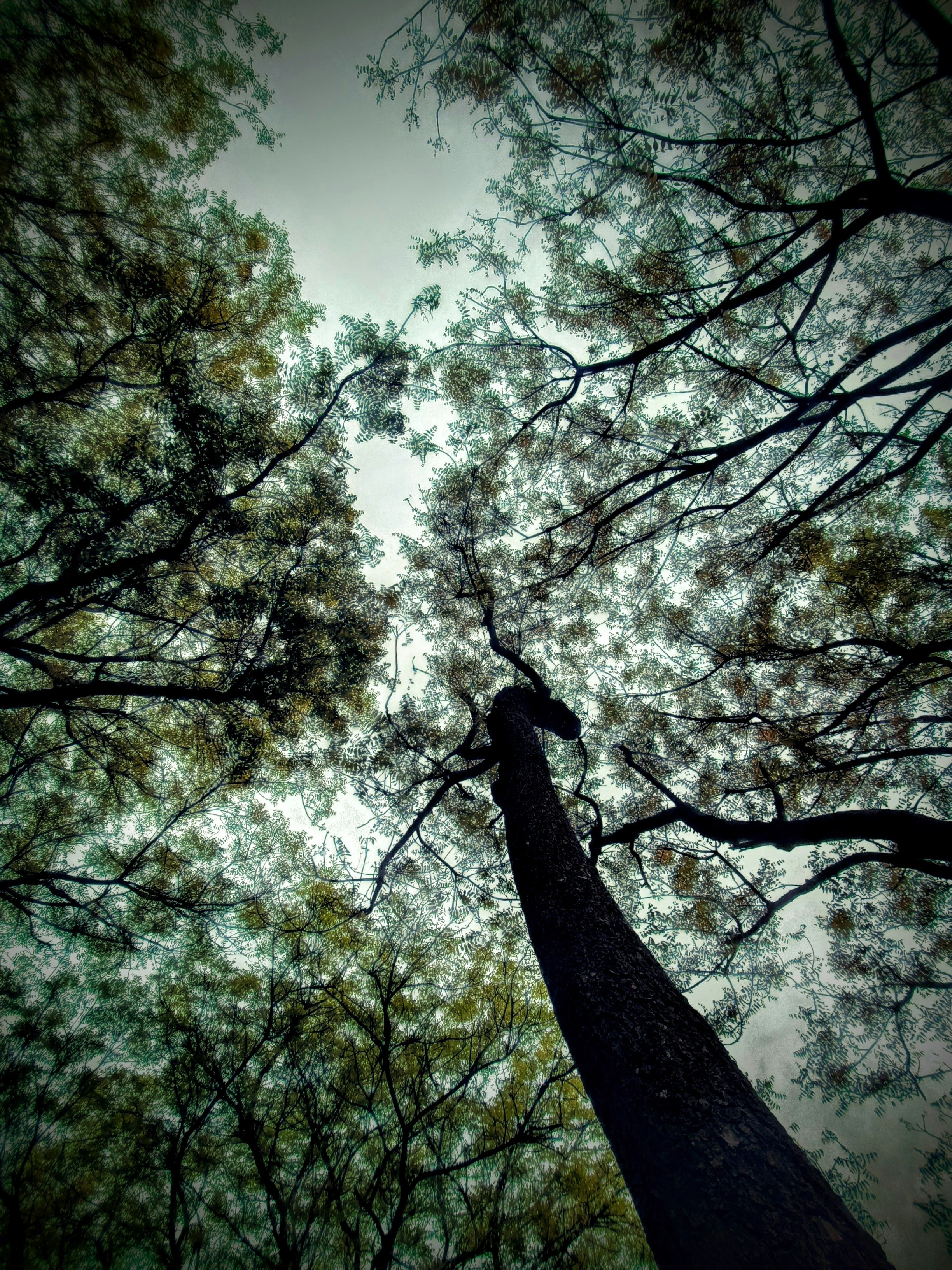 Photo by abhishekbakaya