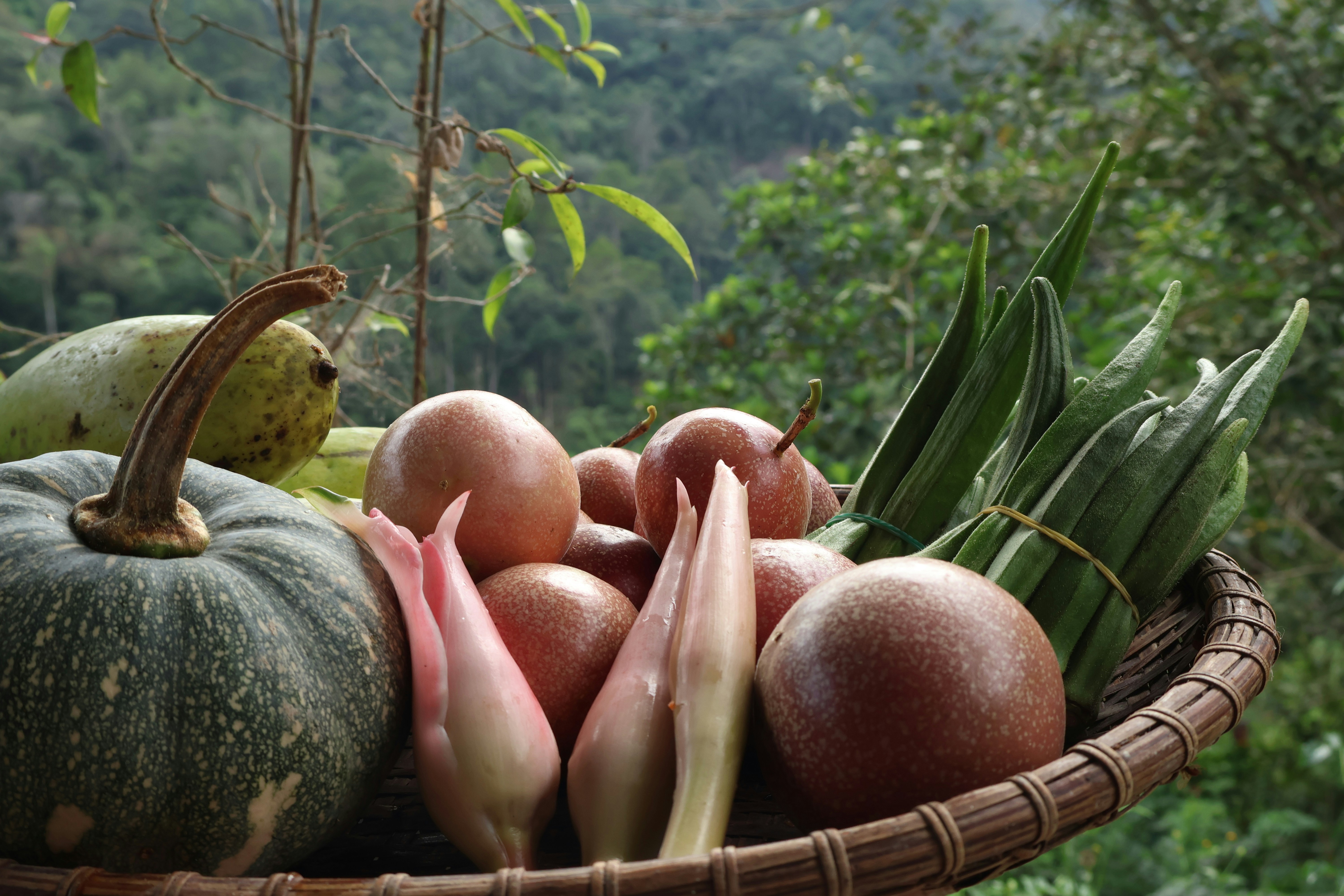 Basket of fresh vegetables and fruits with forest background