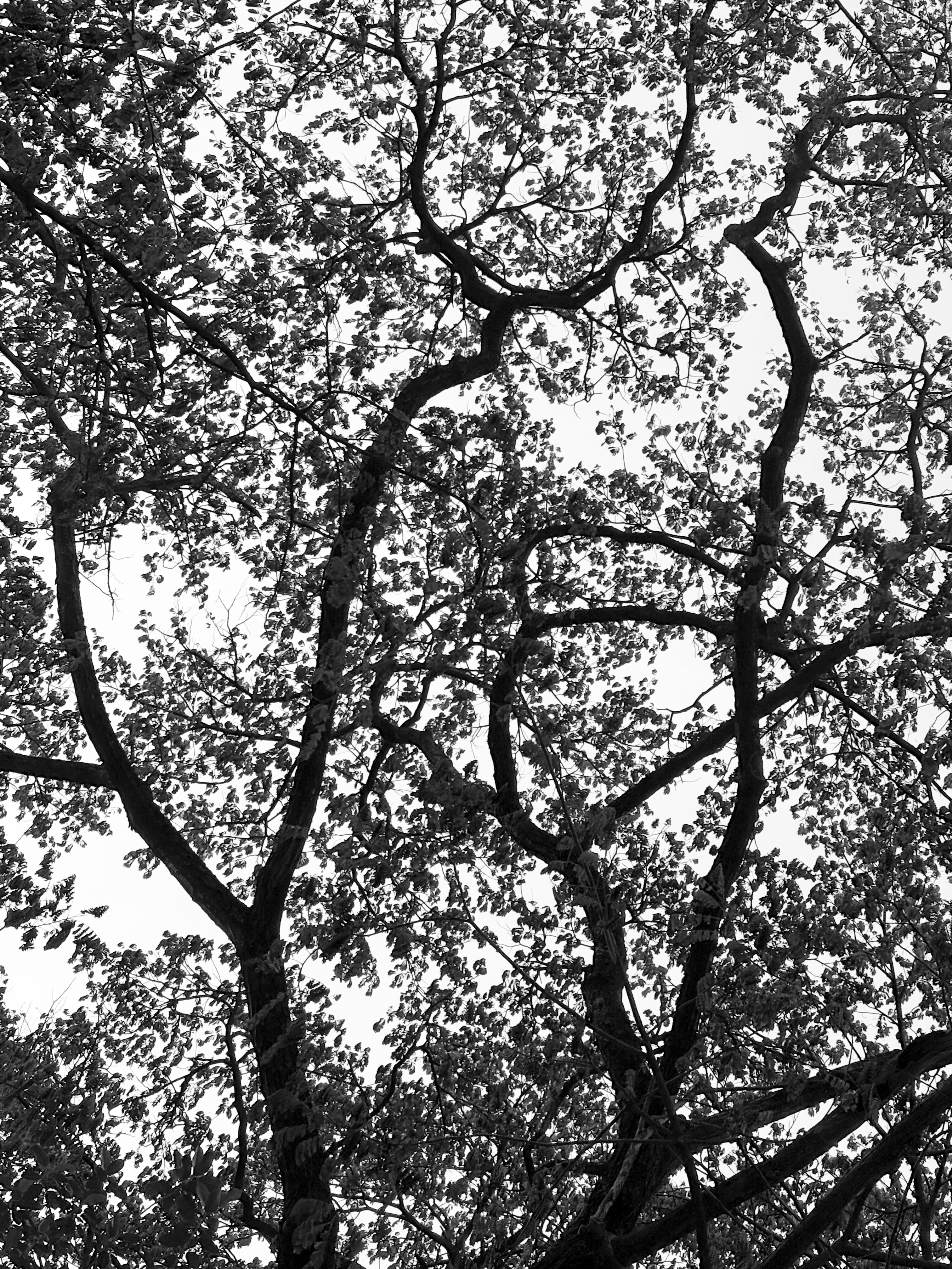 Photo by dreamora96x