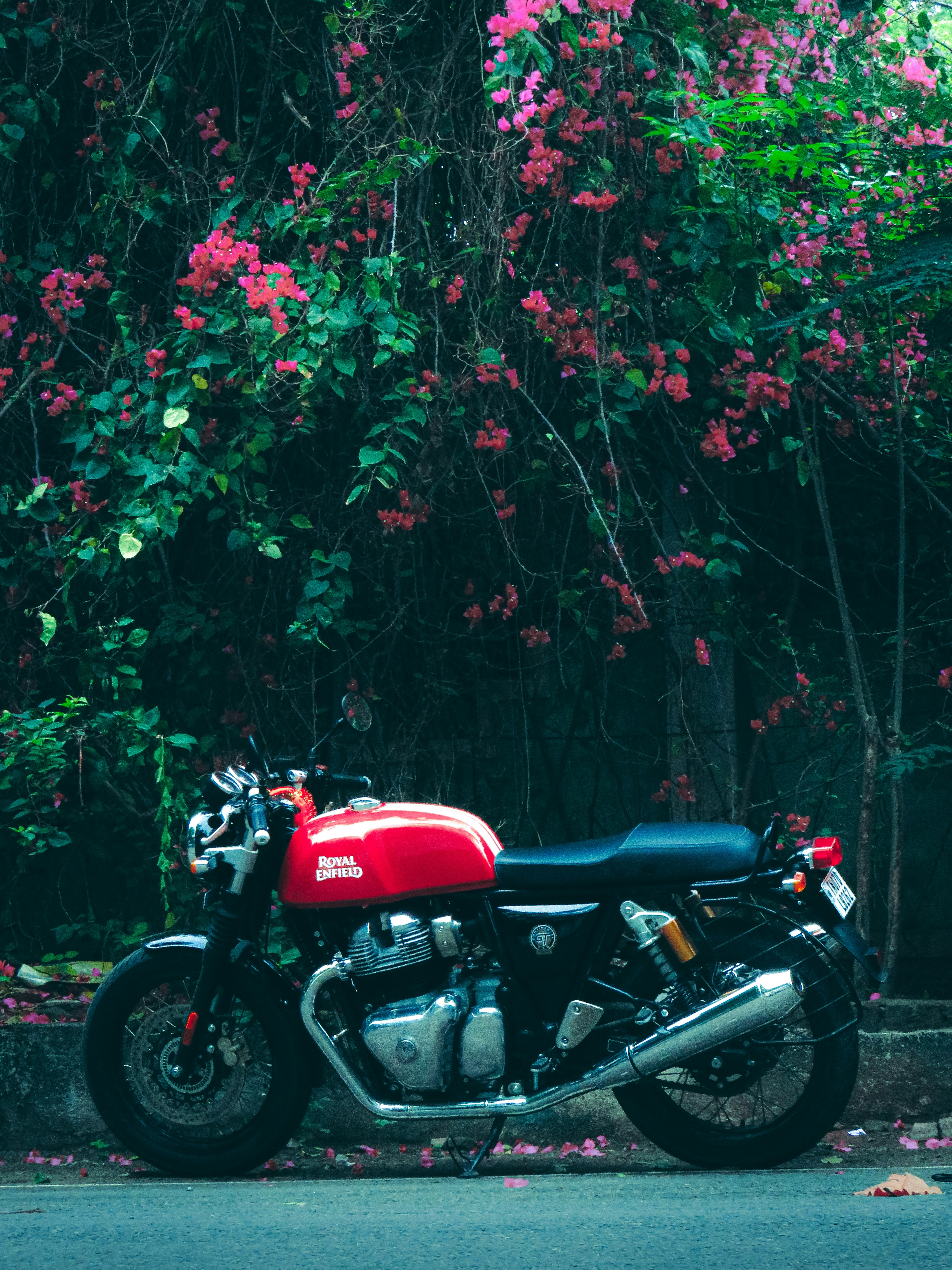 Photo by dreamora96x