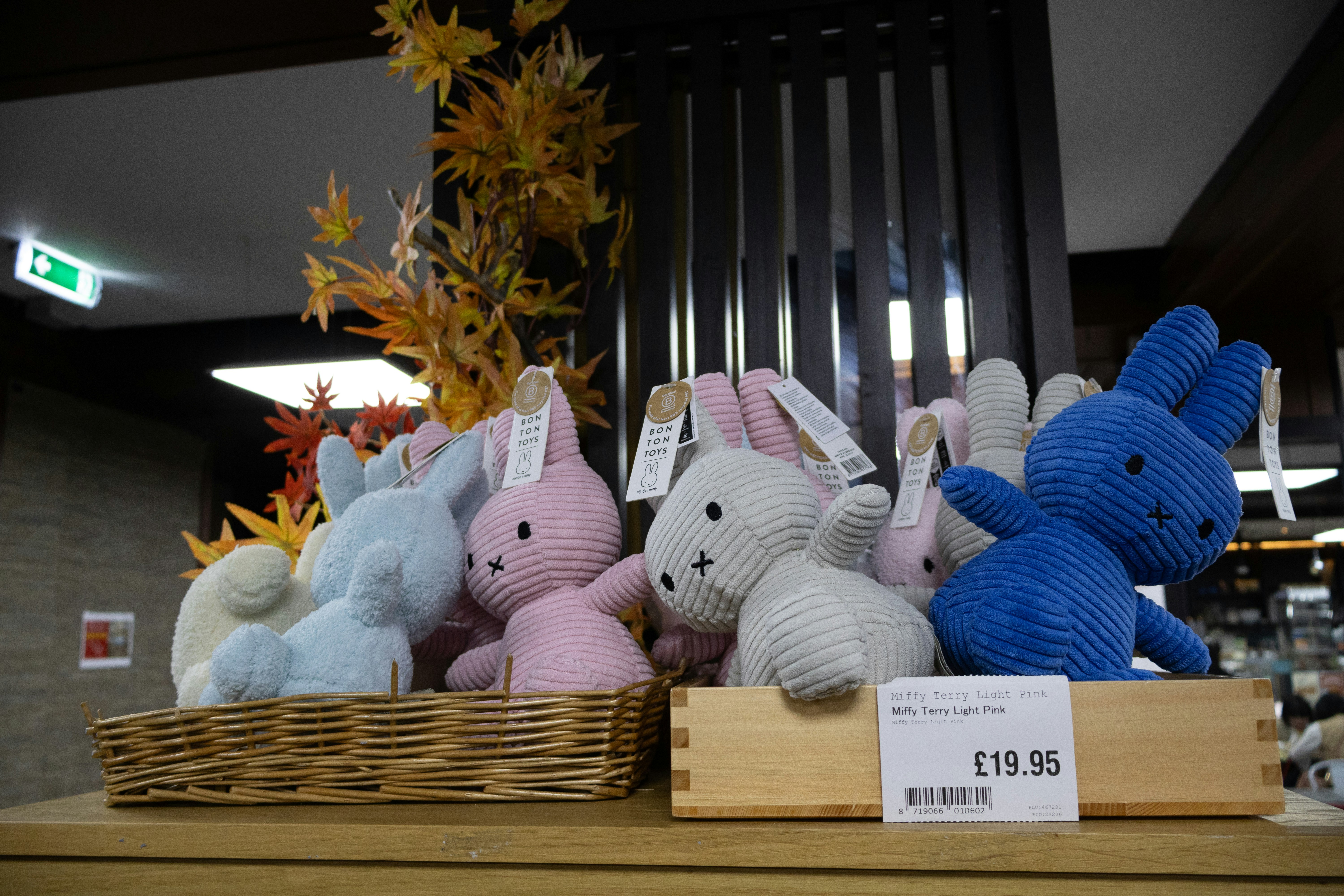 Photo by tanyabarrow