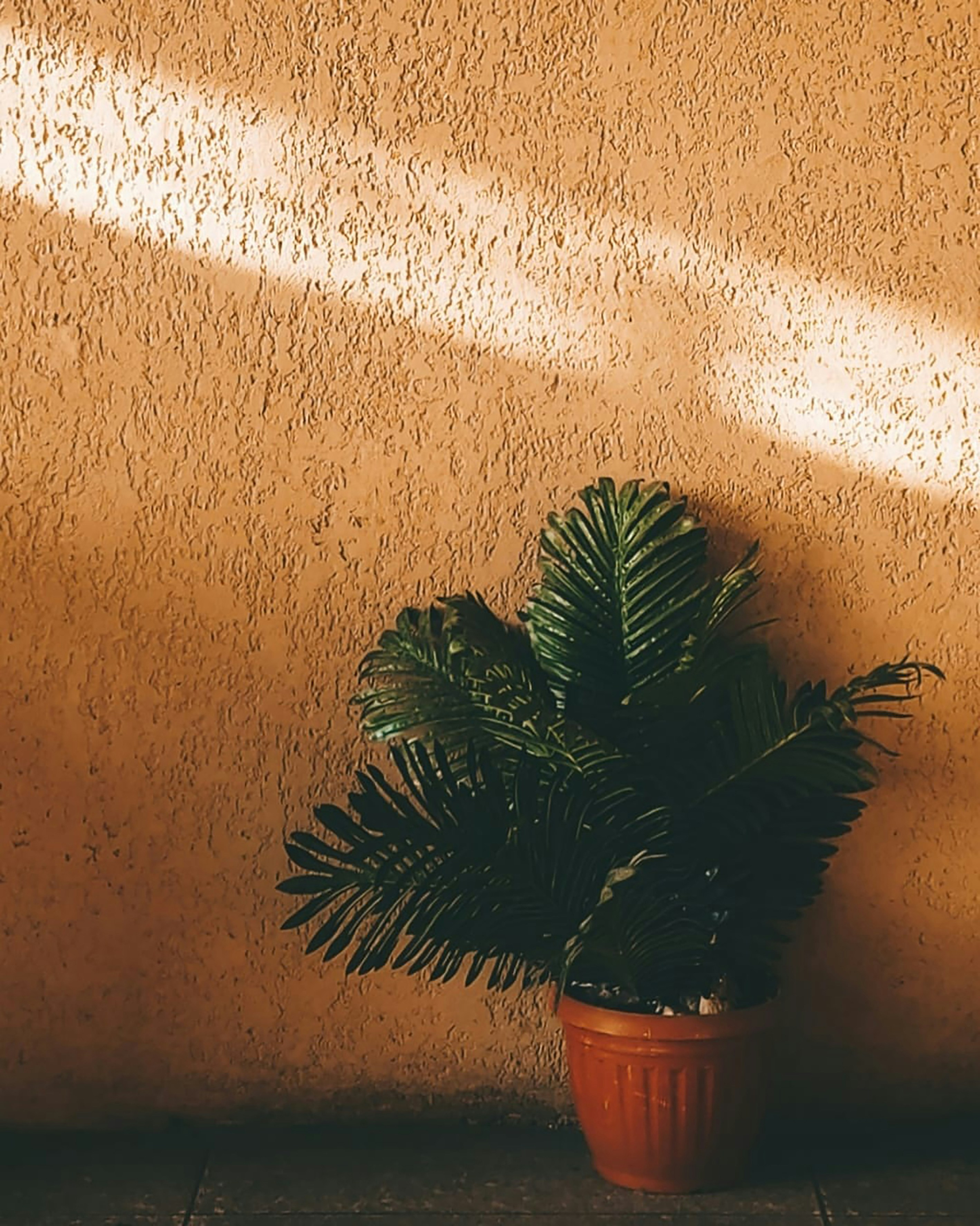 Photo by mustafaemad14