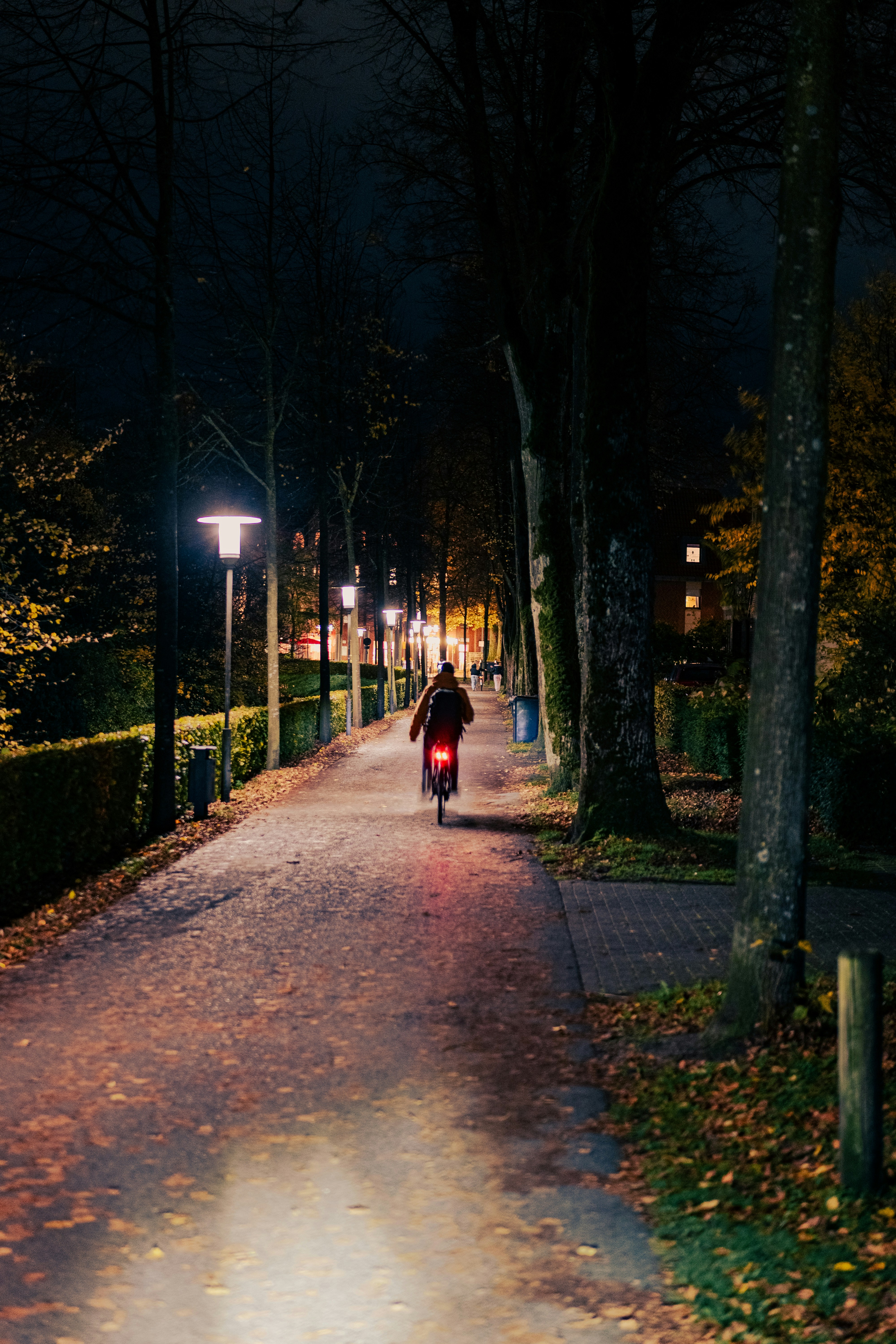 夜間の道を自転車で走っている人