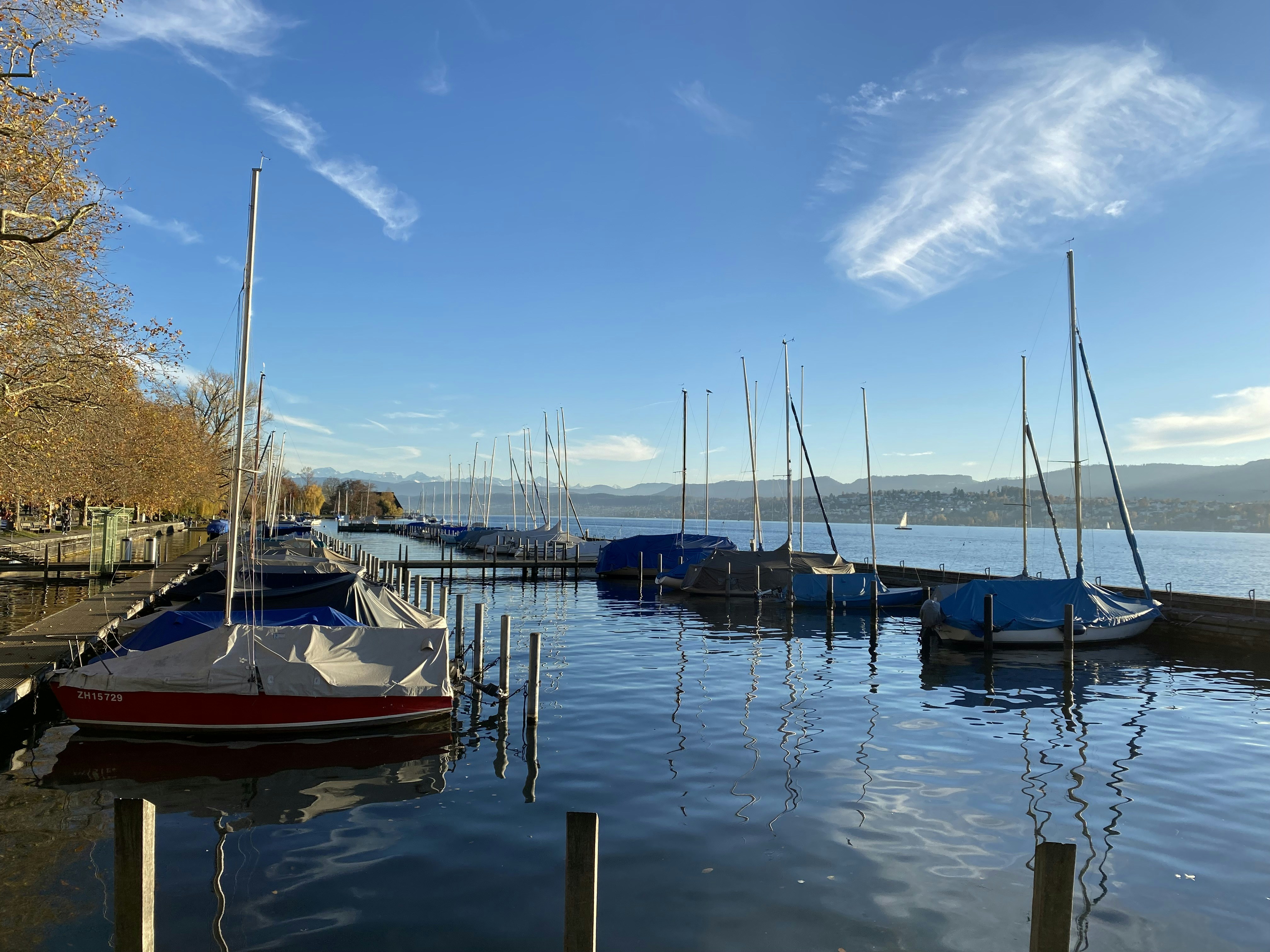 Photo by dplibrarian