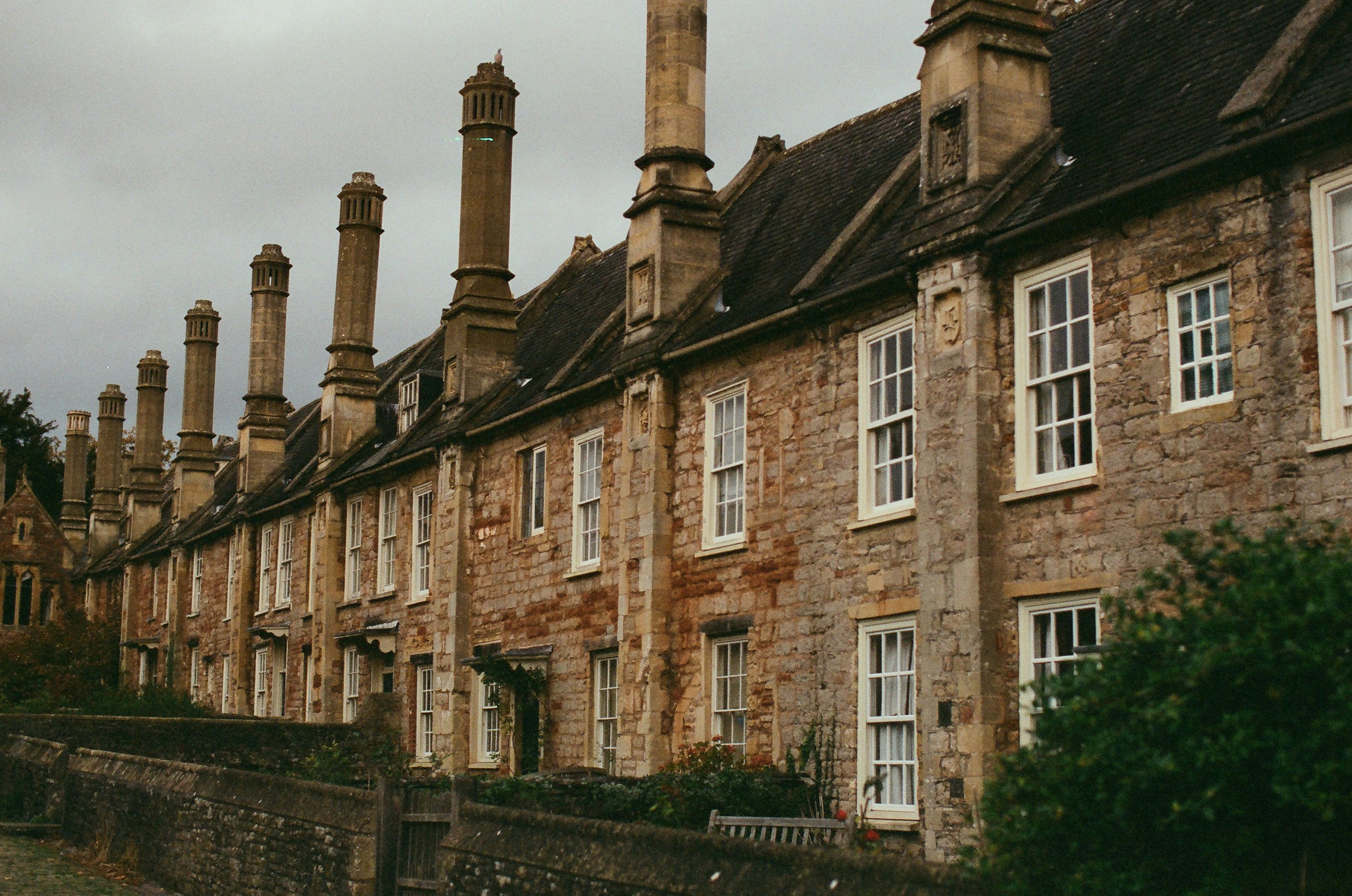 Photo by tanyabarrow