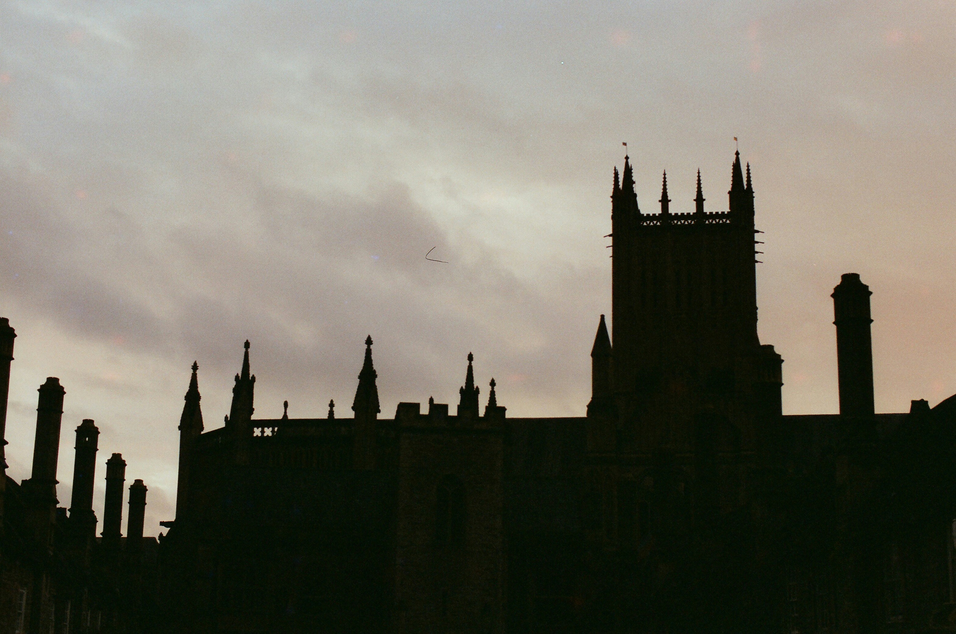 Photo by tanyabarrow