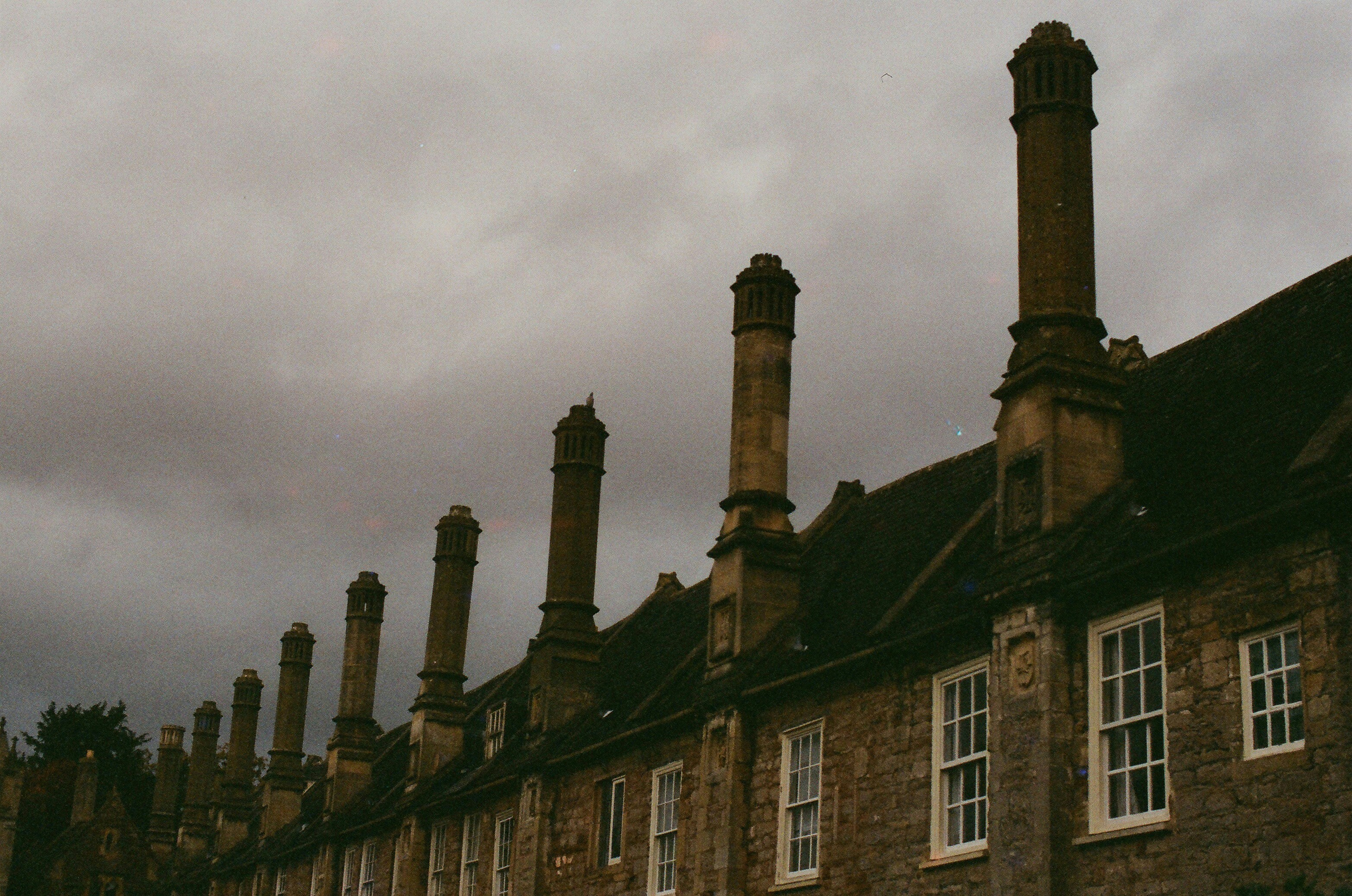 Photo by tanyabarrow