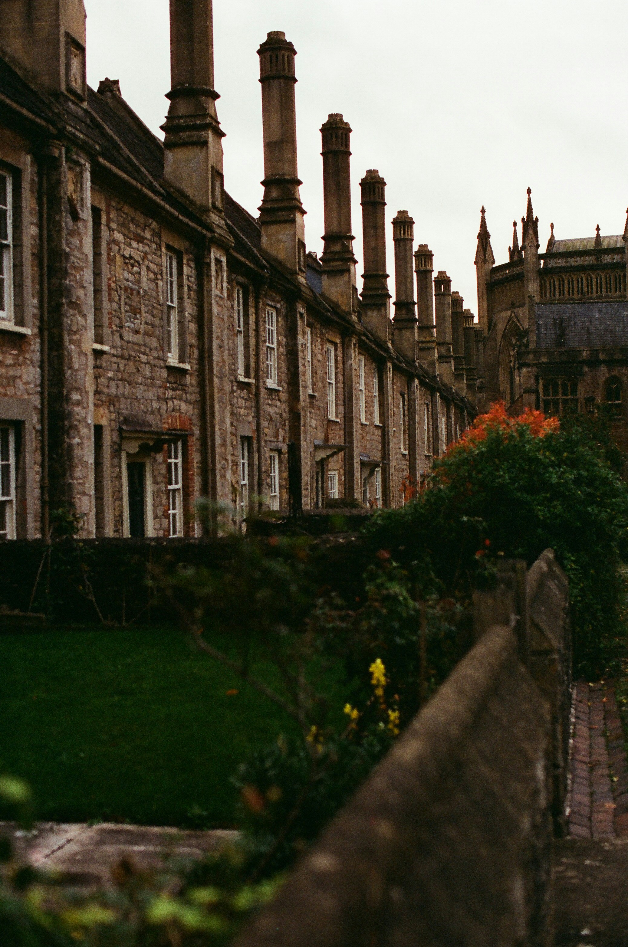 Photo by tanyabarrow