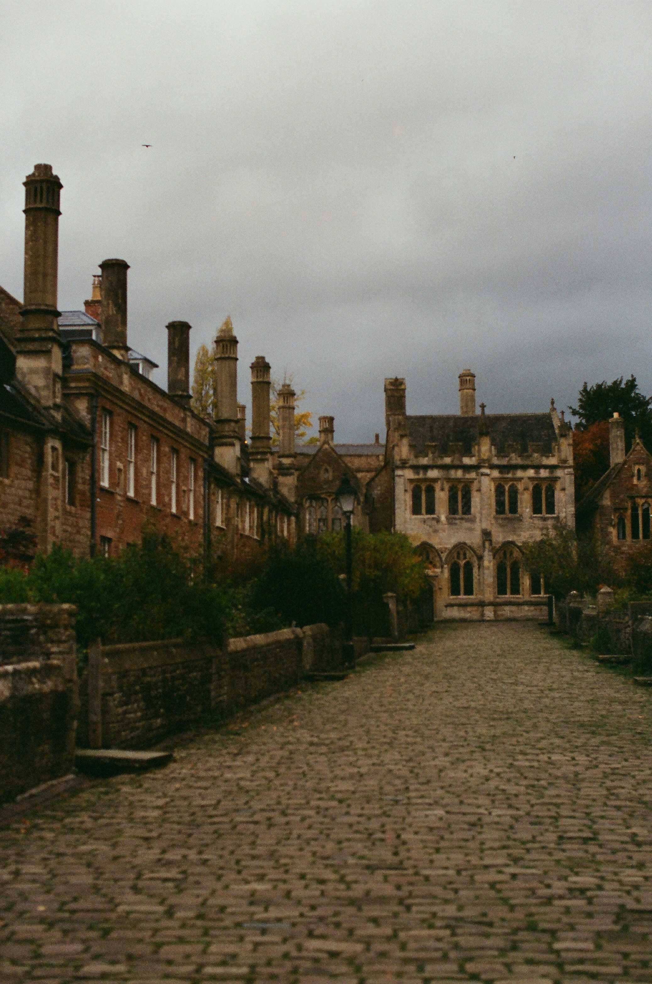 Photo by tanyabarrow