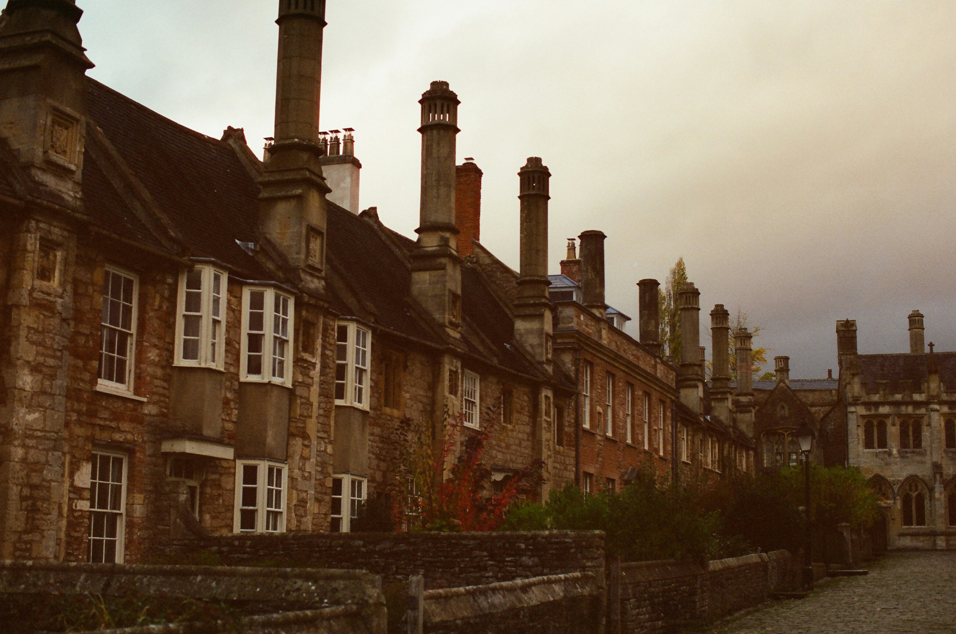 Photo by tanyabarrow