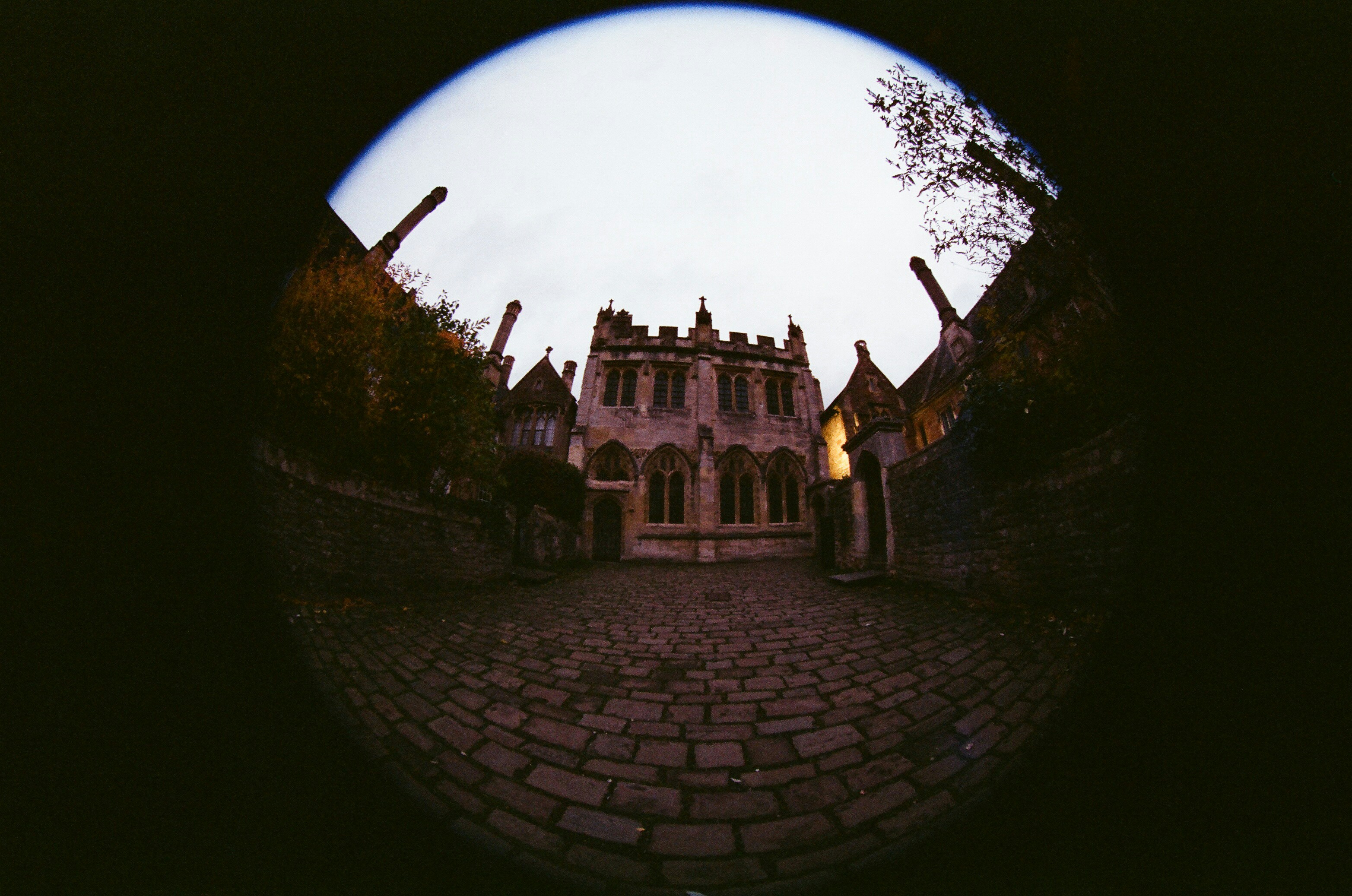 Photo by tanyabarrow