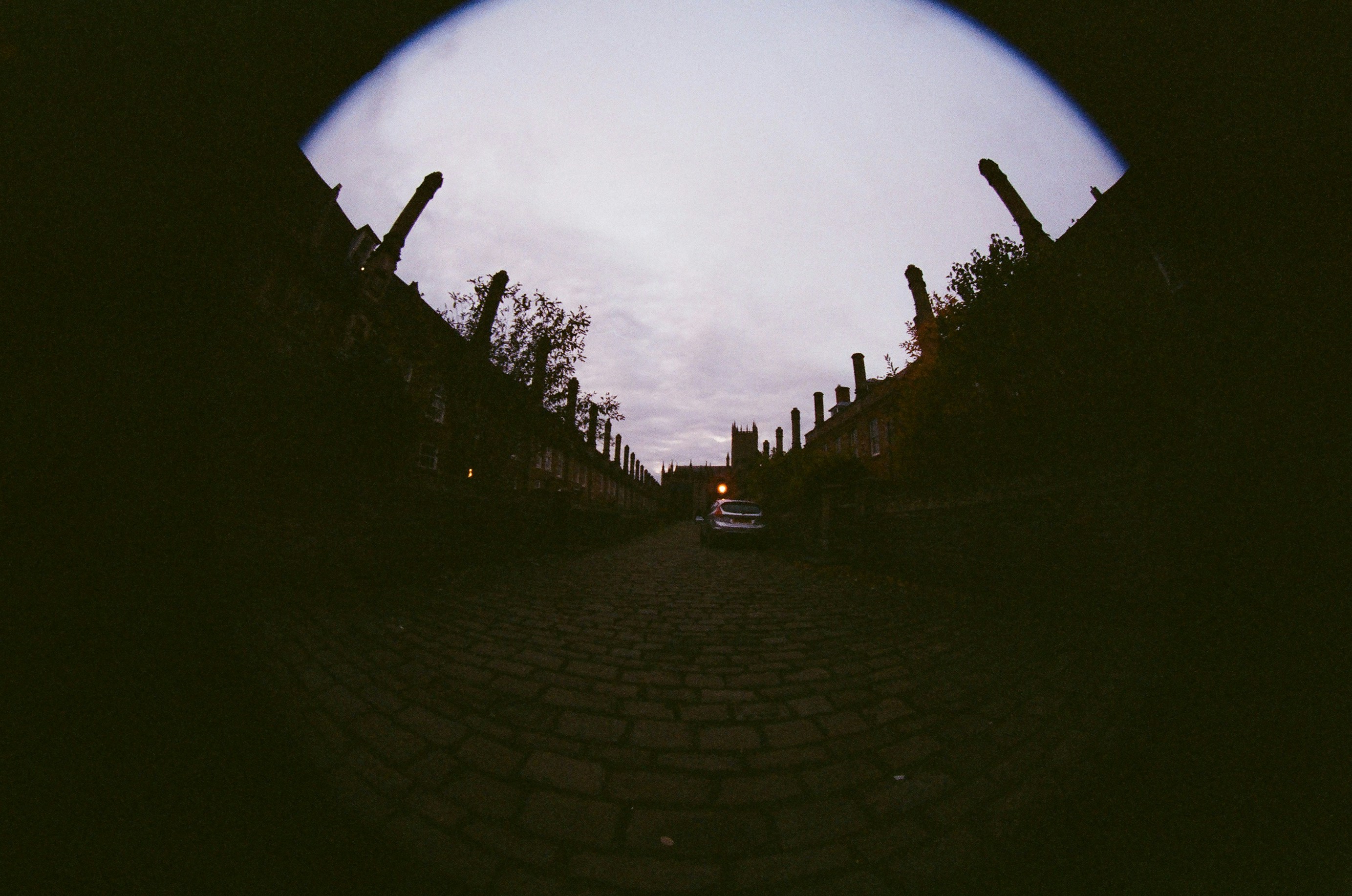 Photo by tanyabarrow