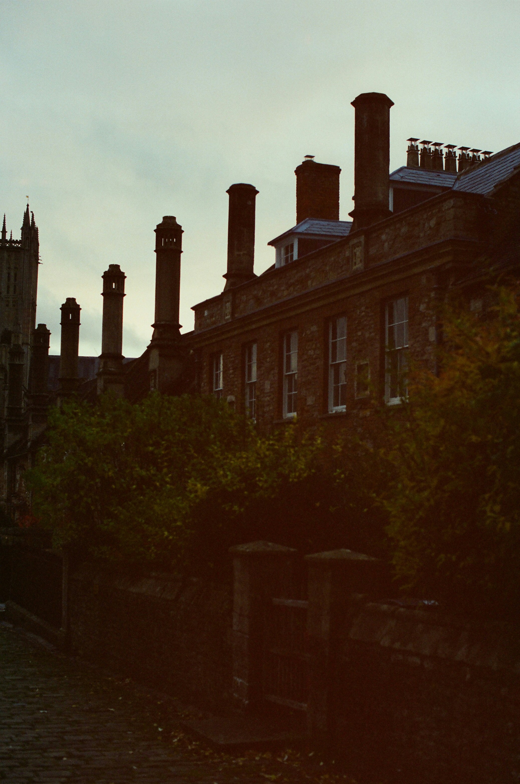 Photo by tanyabarrow