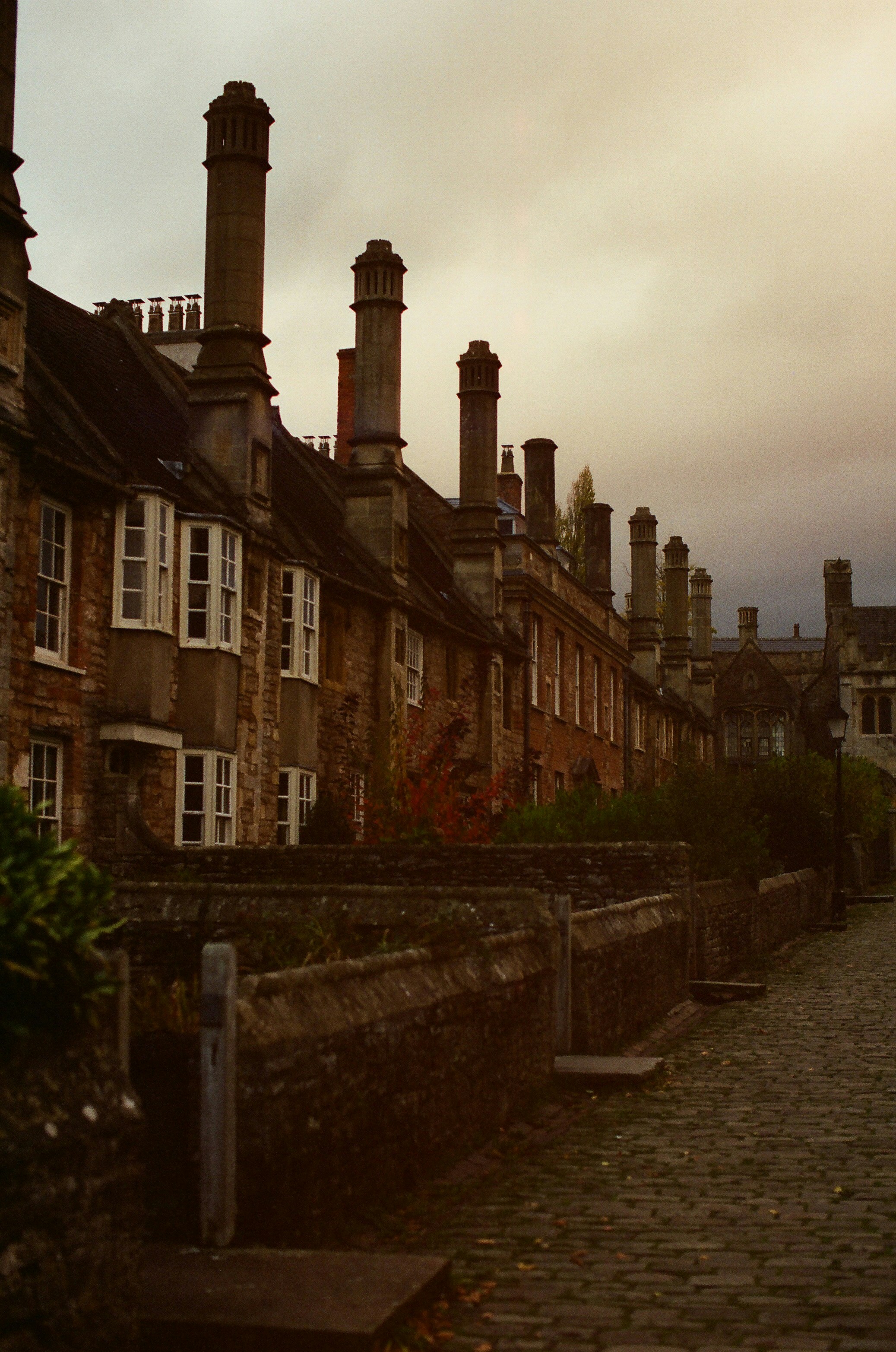 Photo by tanyabarrow