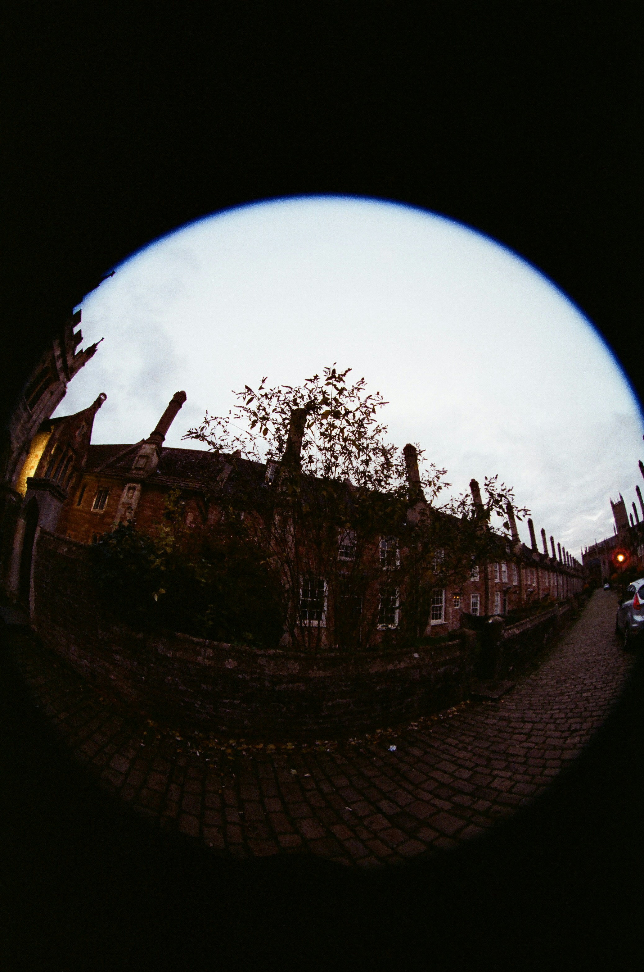 Photo by tanyabarrow