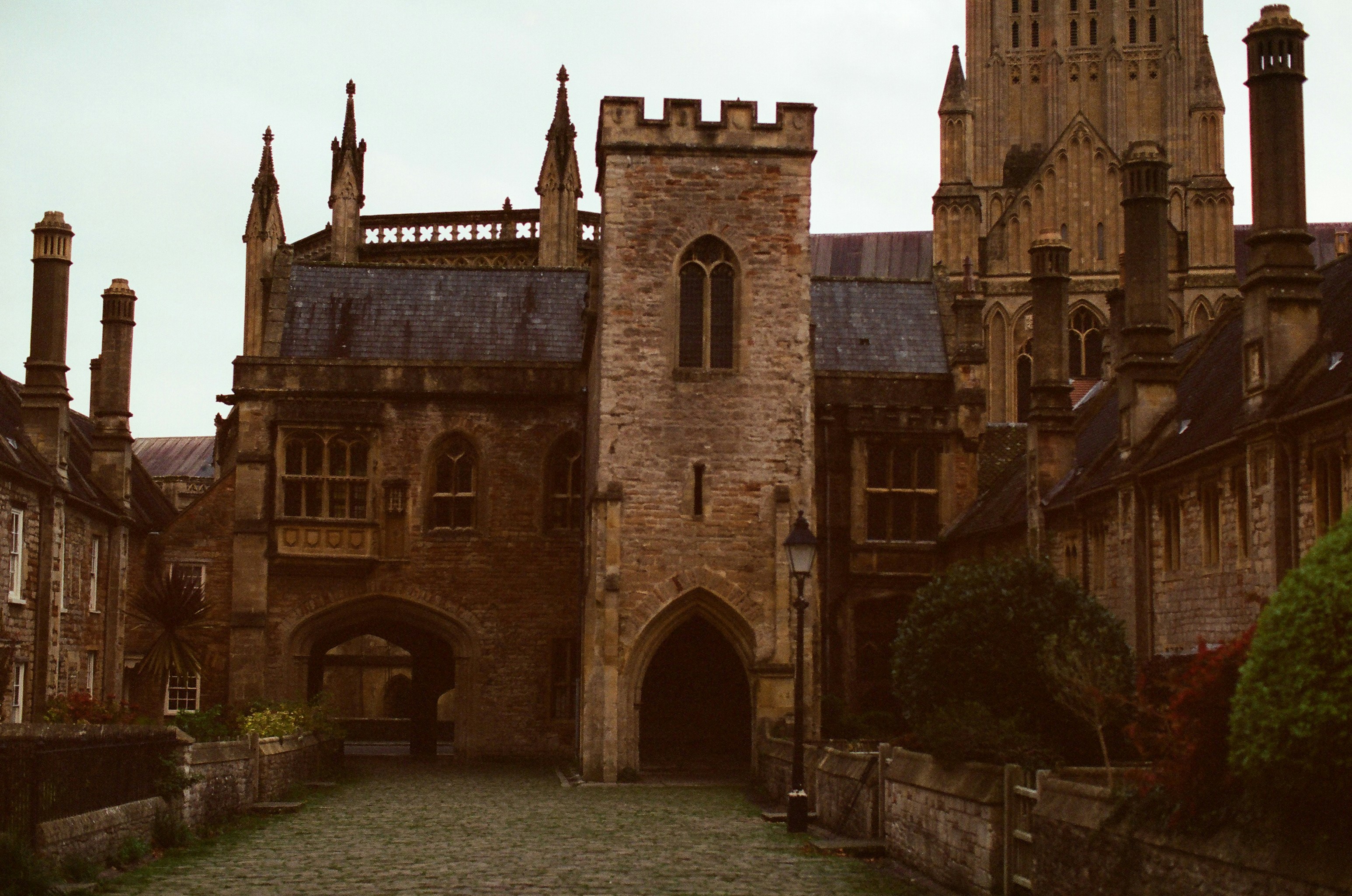 Photo by tanyabarrow