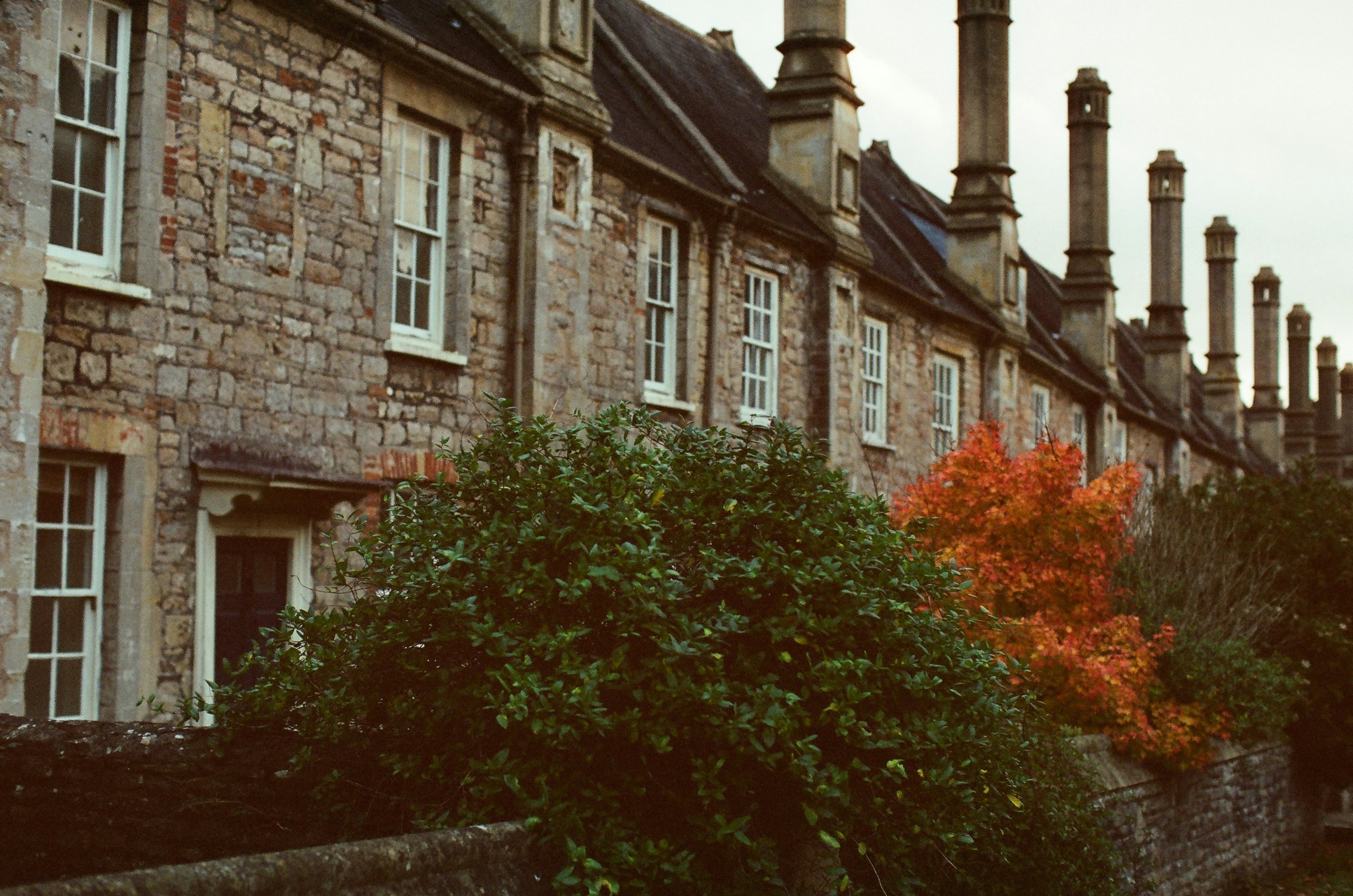 Photo by tanyabarrow