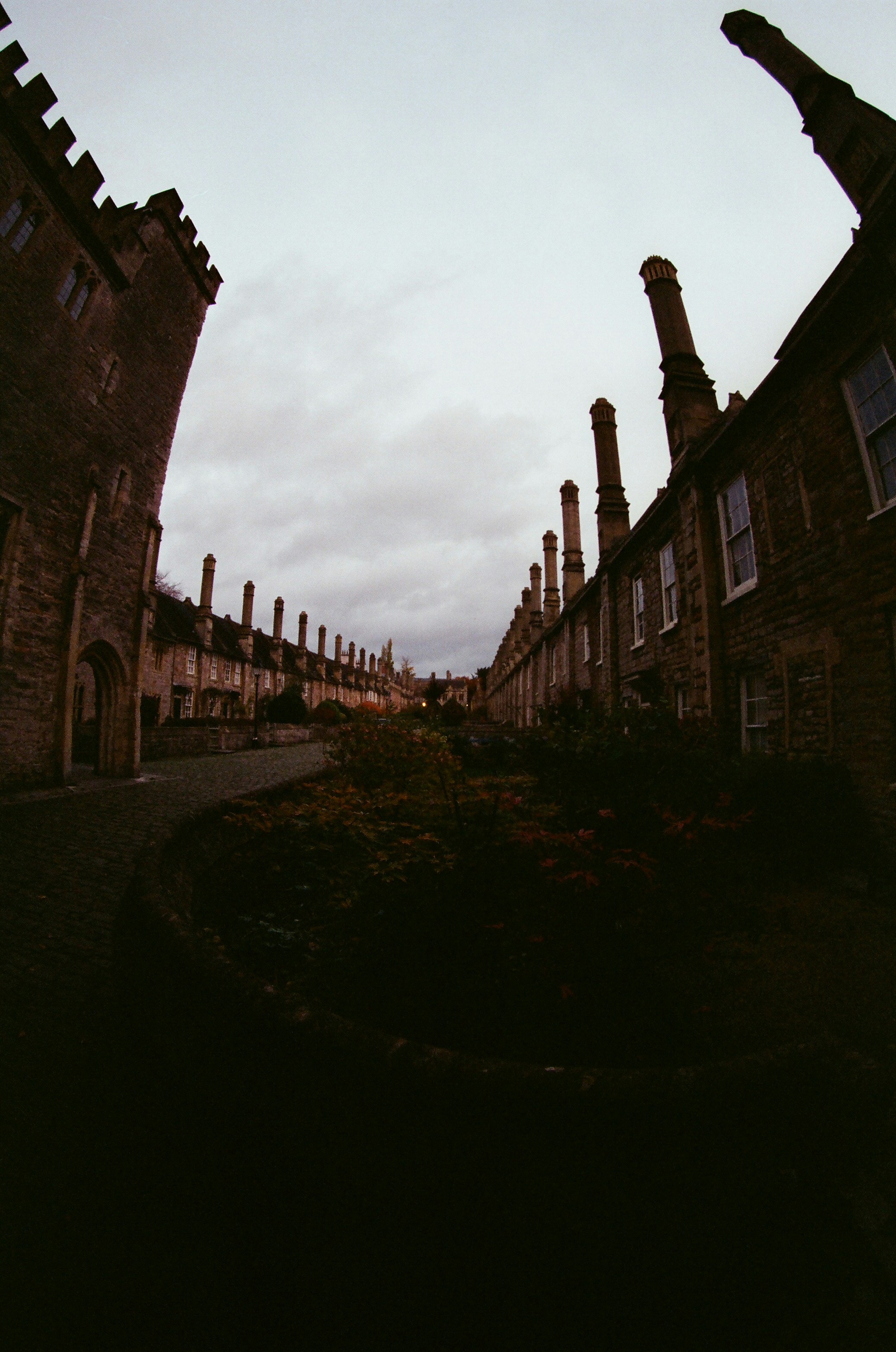 Photo by tanyabarrow