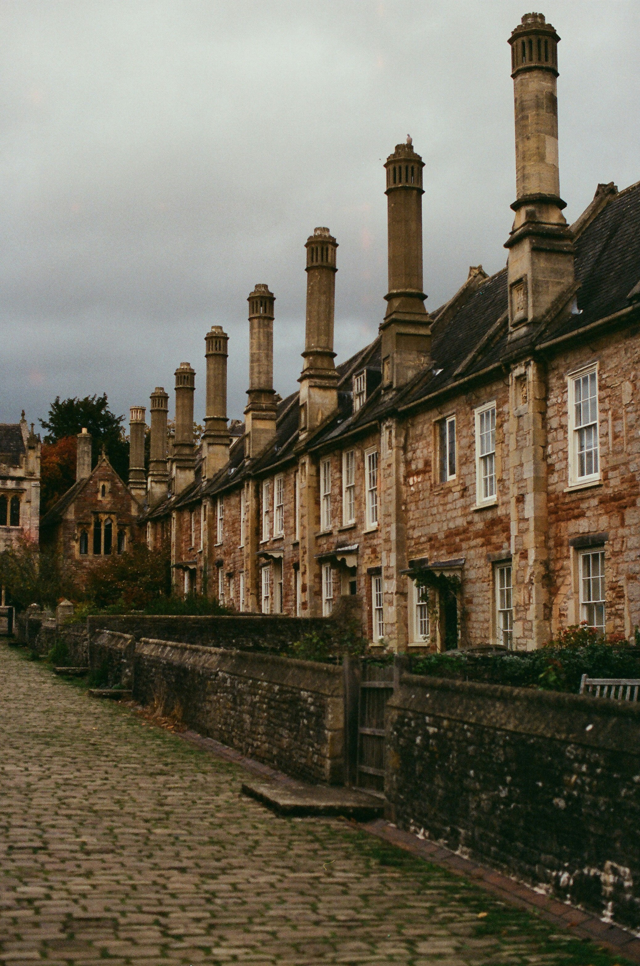 Photo by tanyabarrow