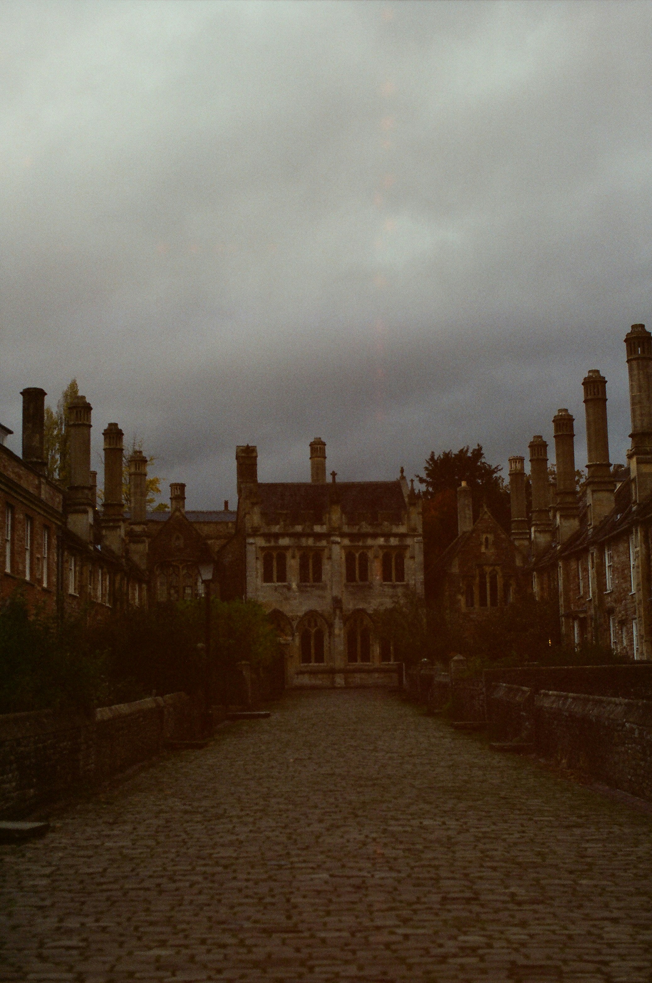 Photo by tanyabarrow