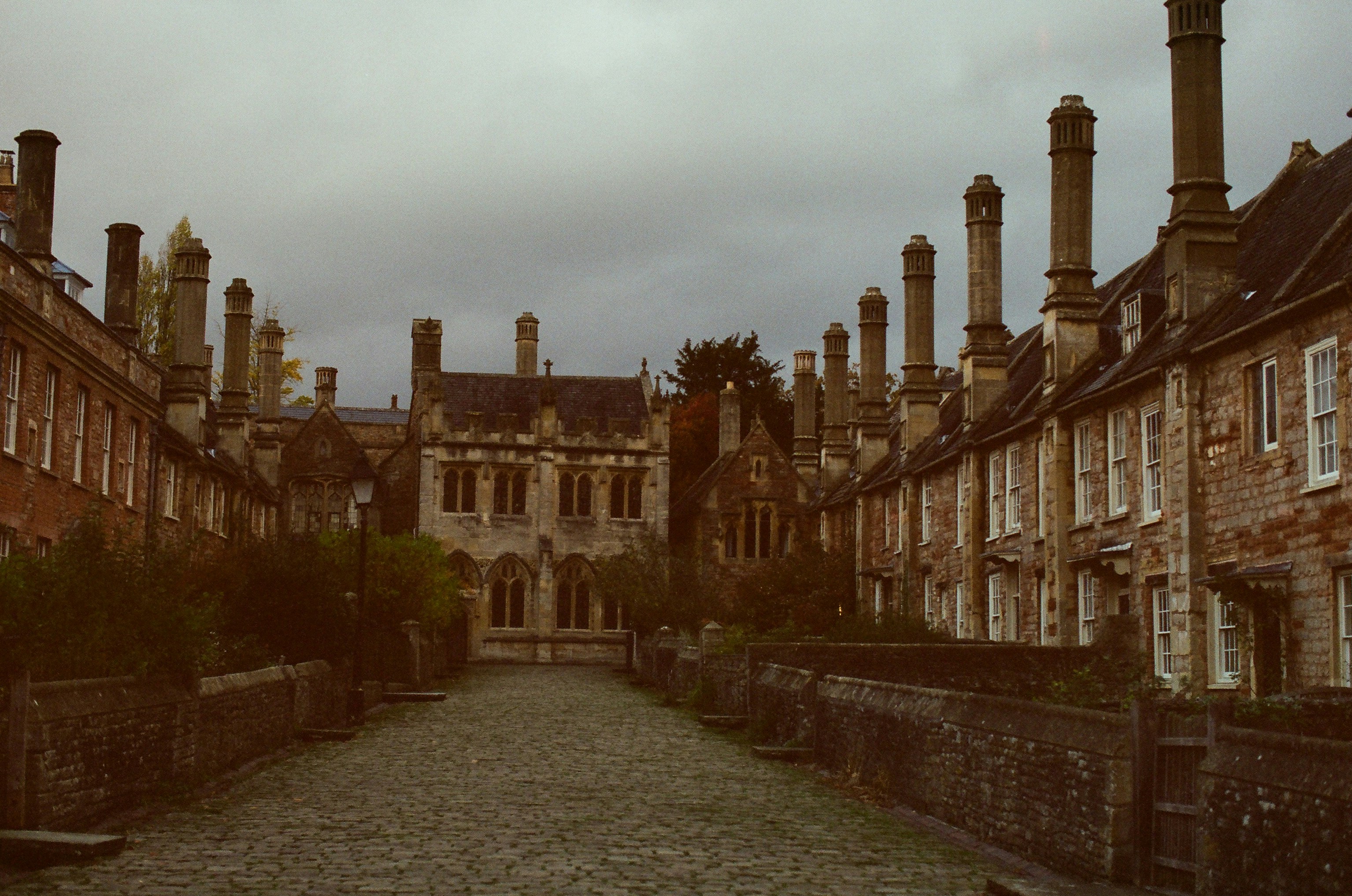 Photo by tanyabarrow