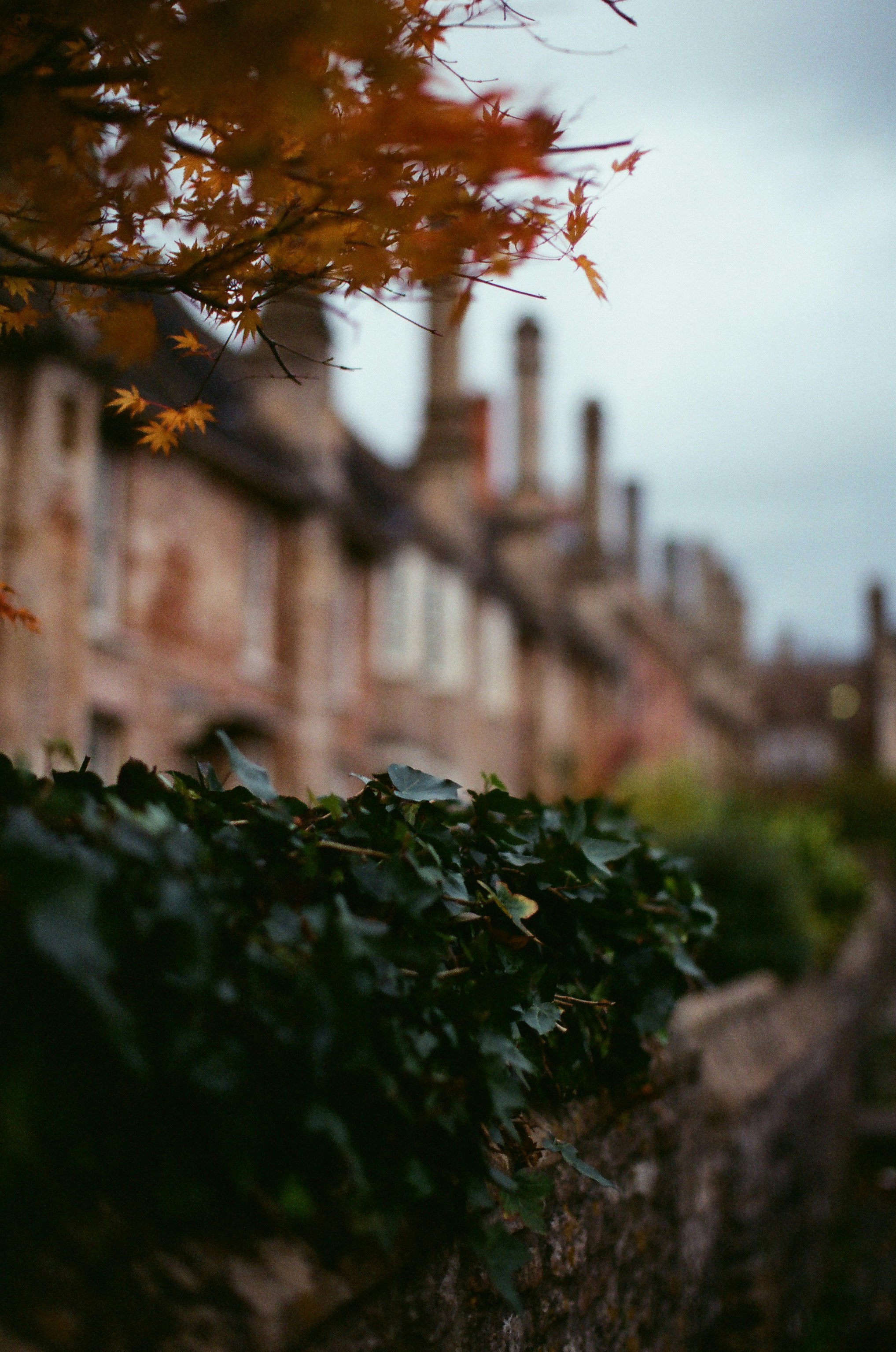 Photo by tanyabarrow