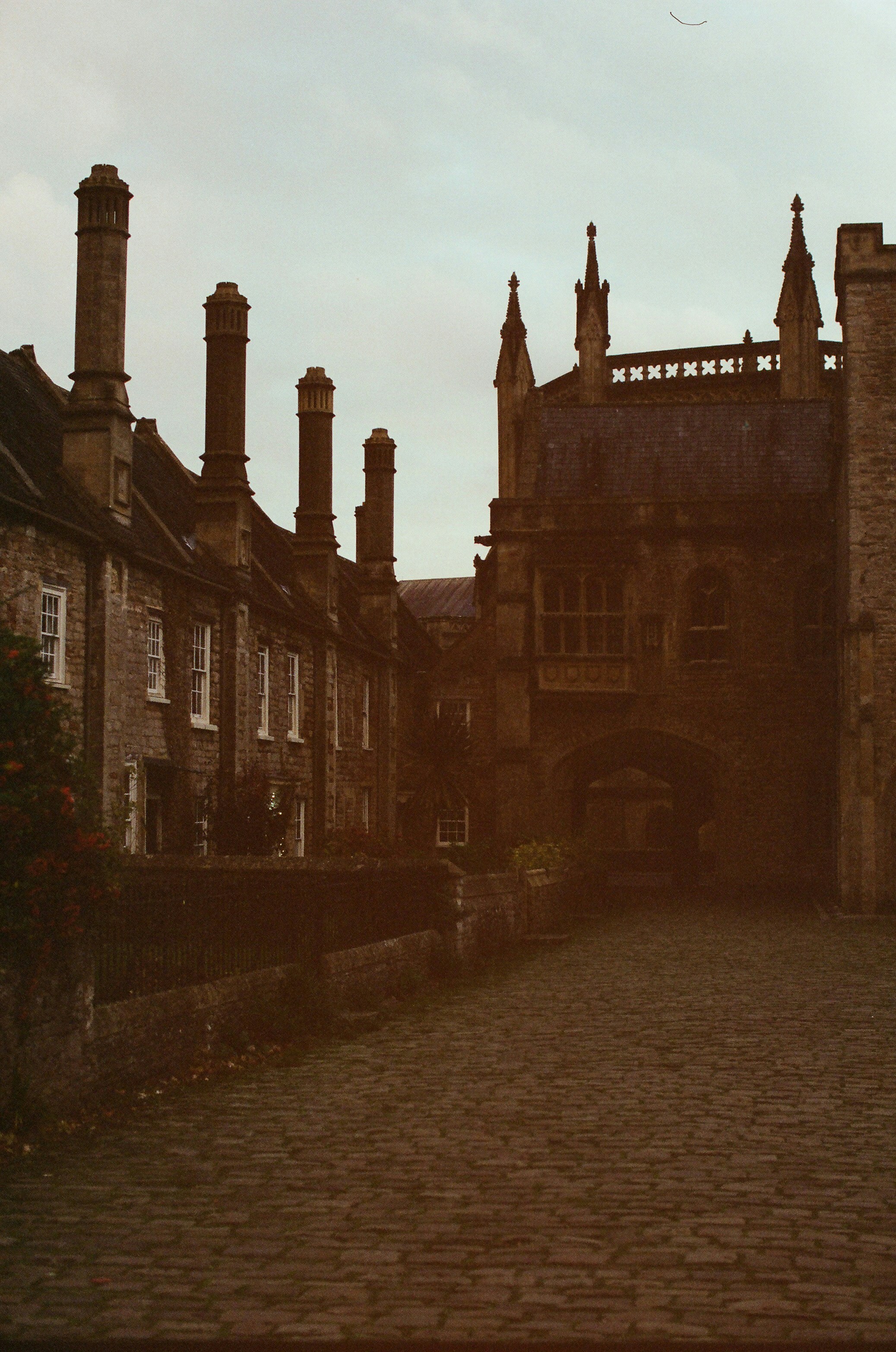 Photo by tanyabarrow