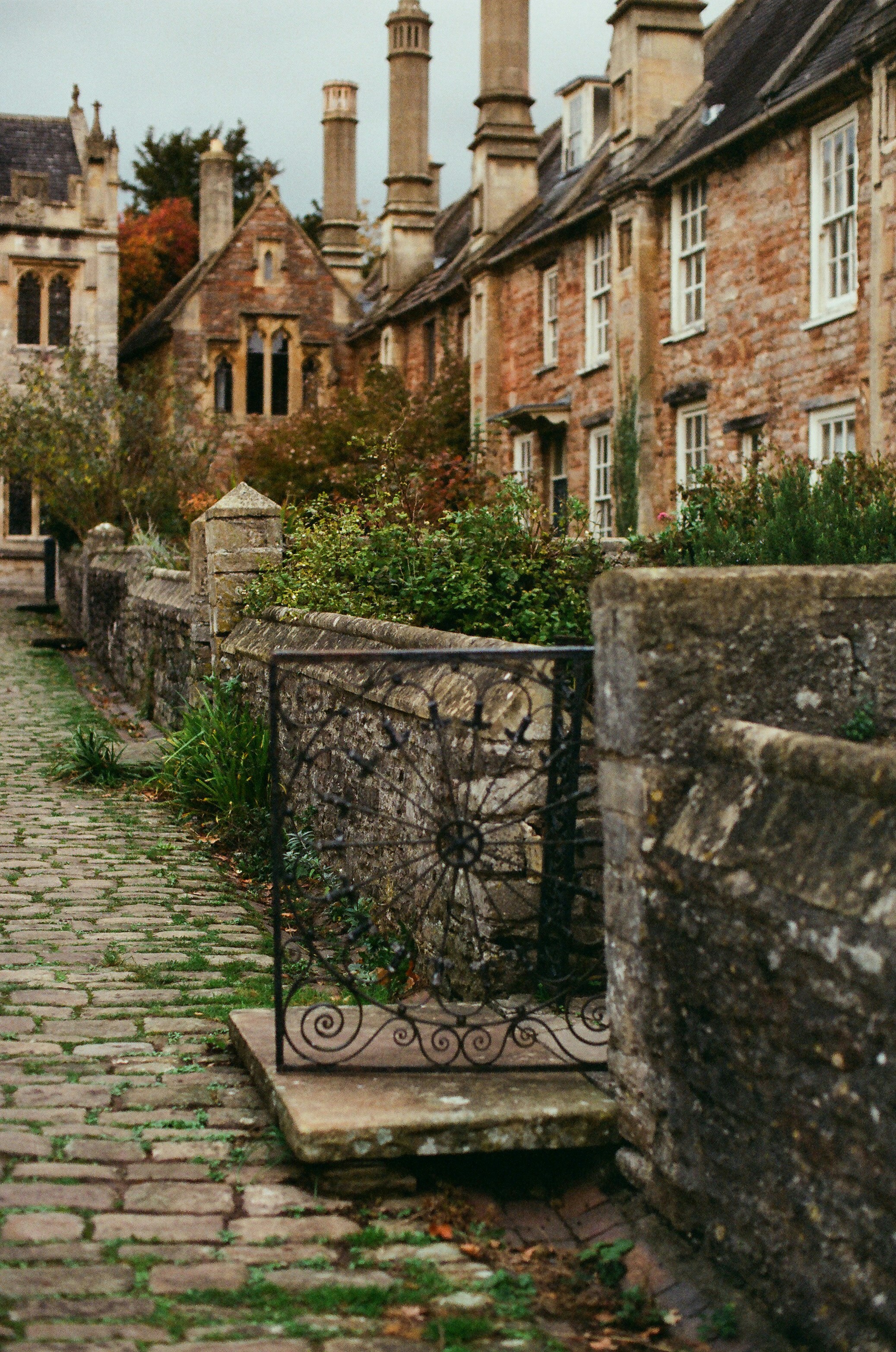 Photo by tanyabarrow