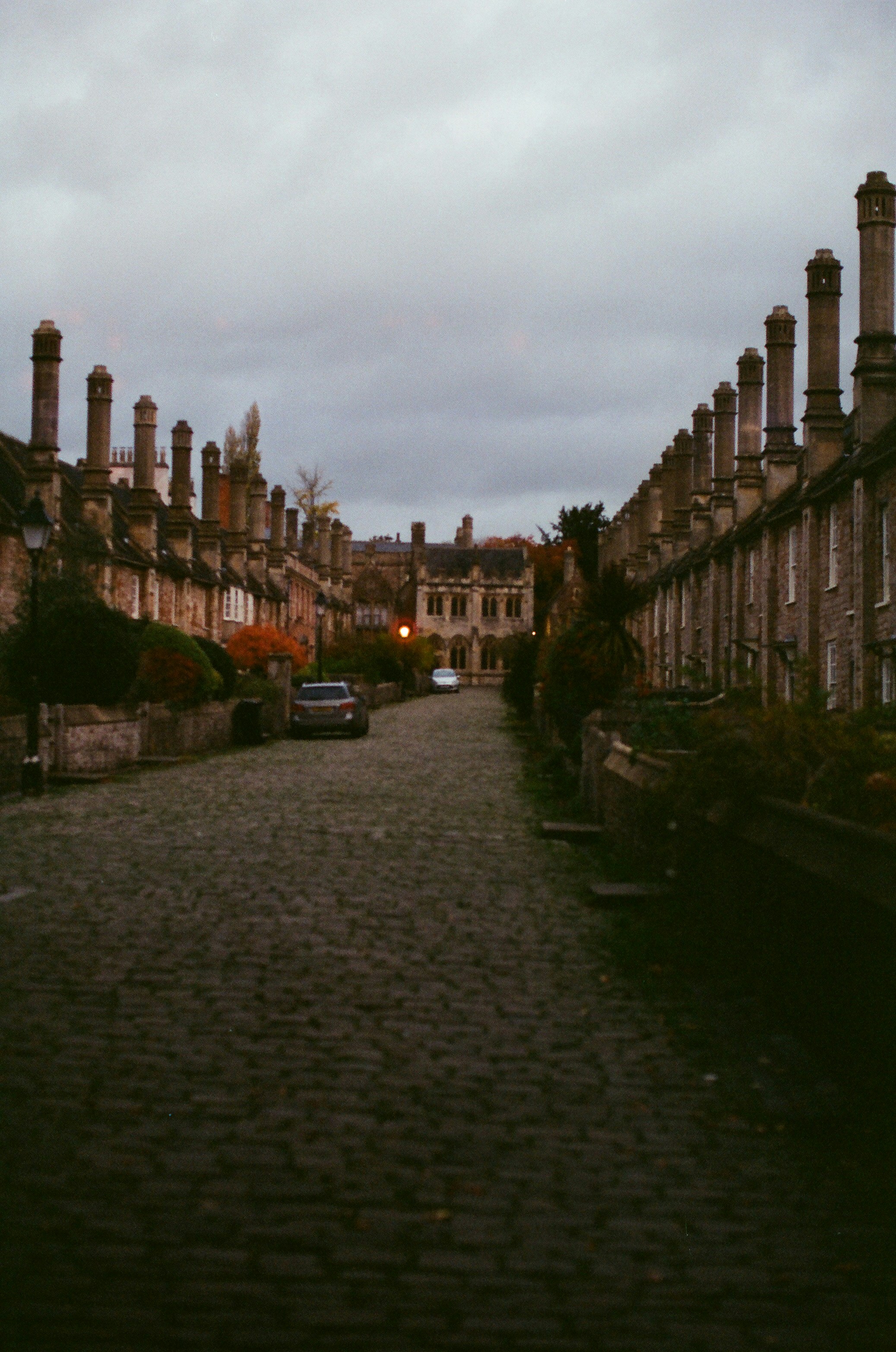 Photo by tanyabarrow