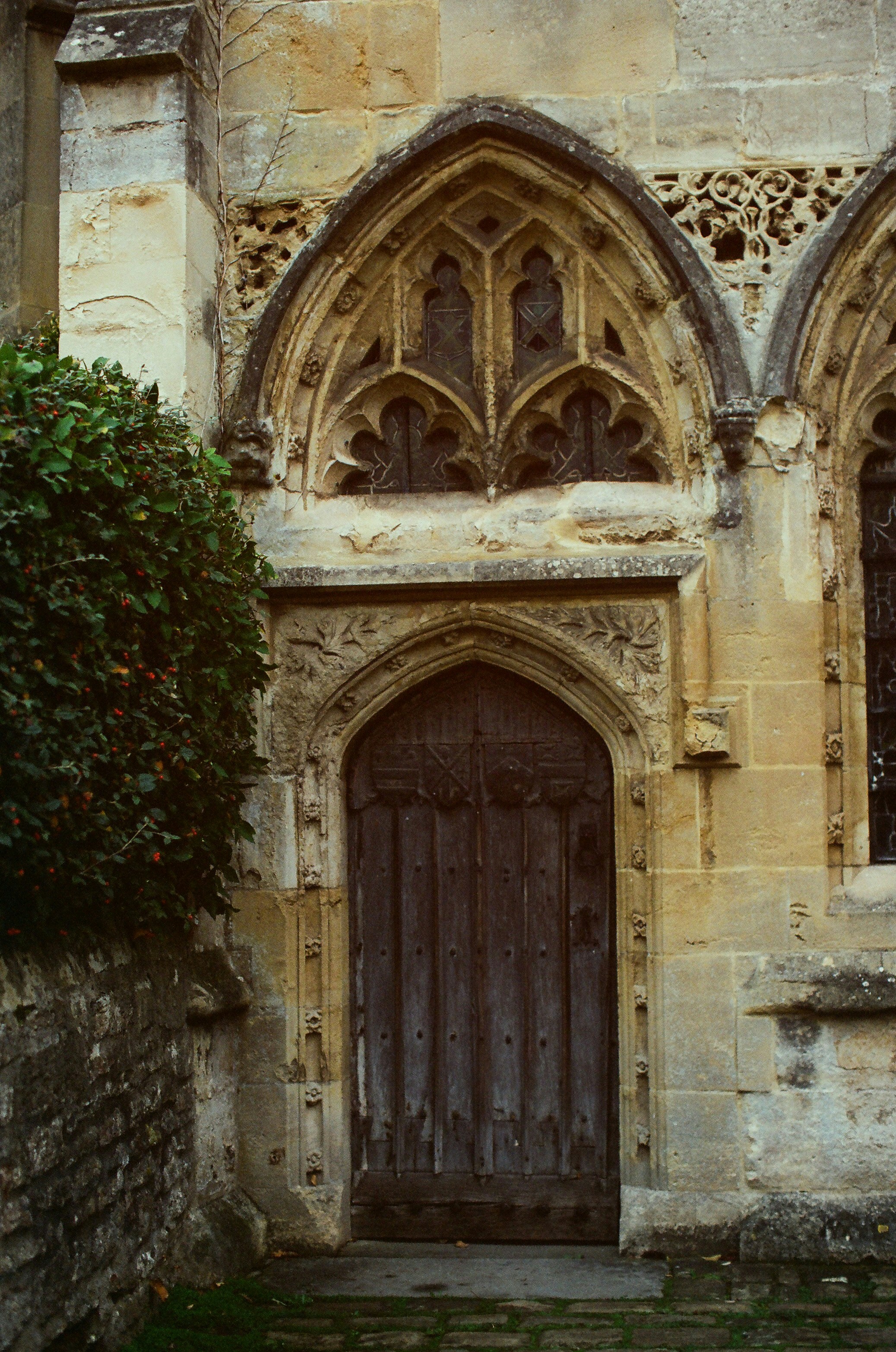 Photo by tanyabarrow