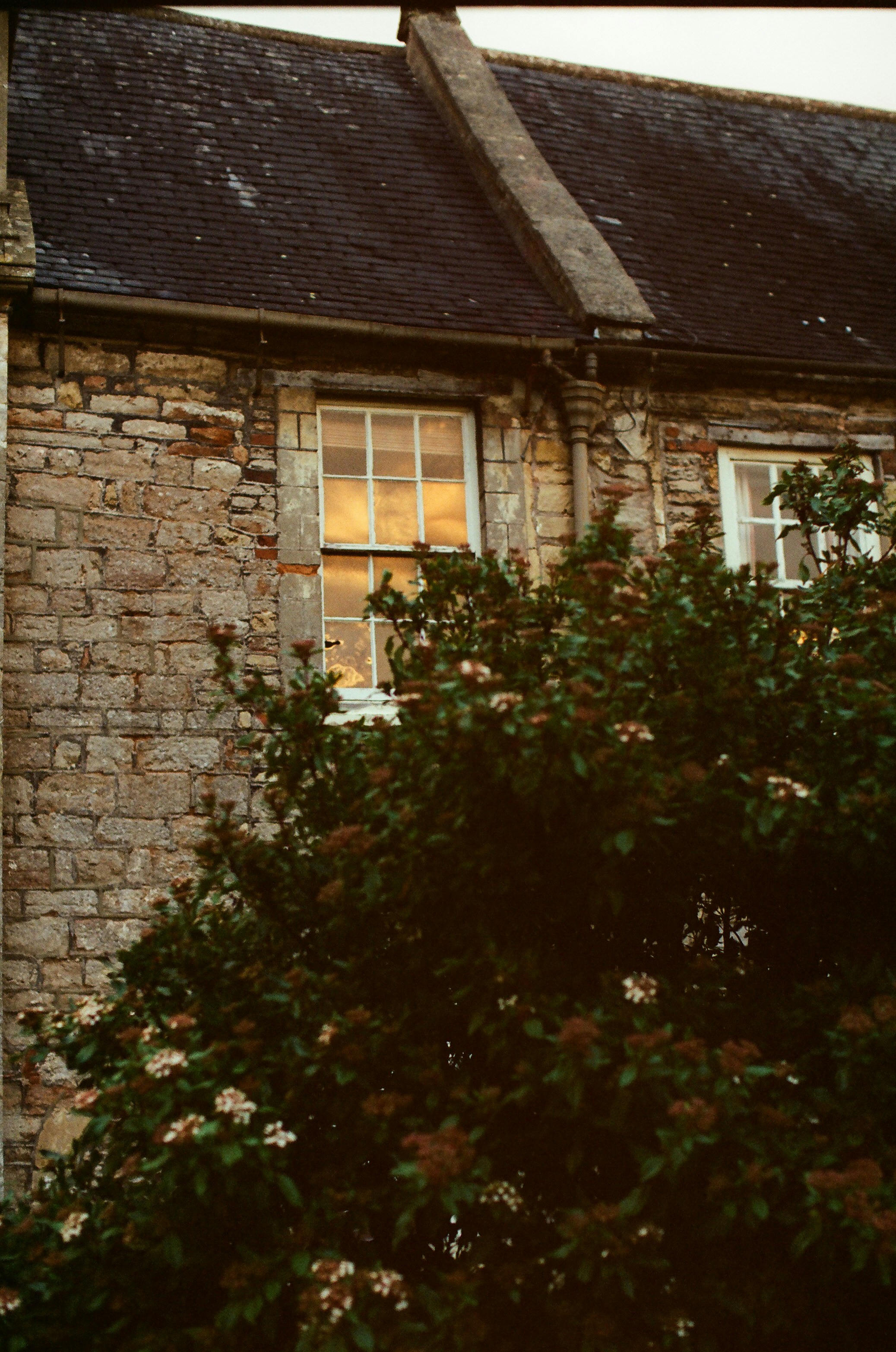 Photo by tanyabarrow