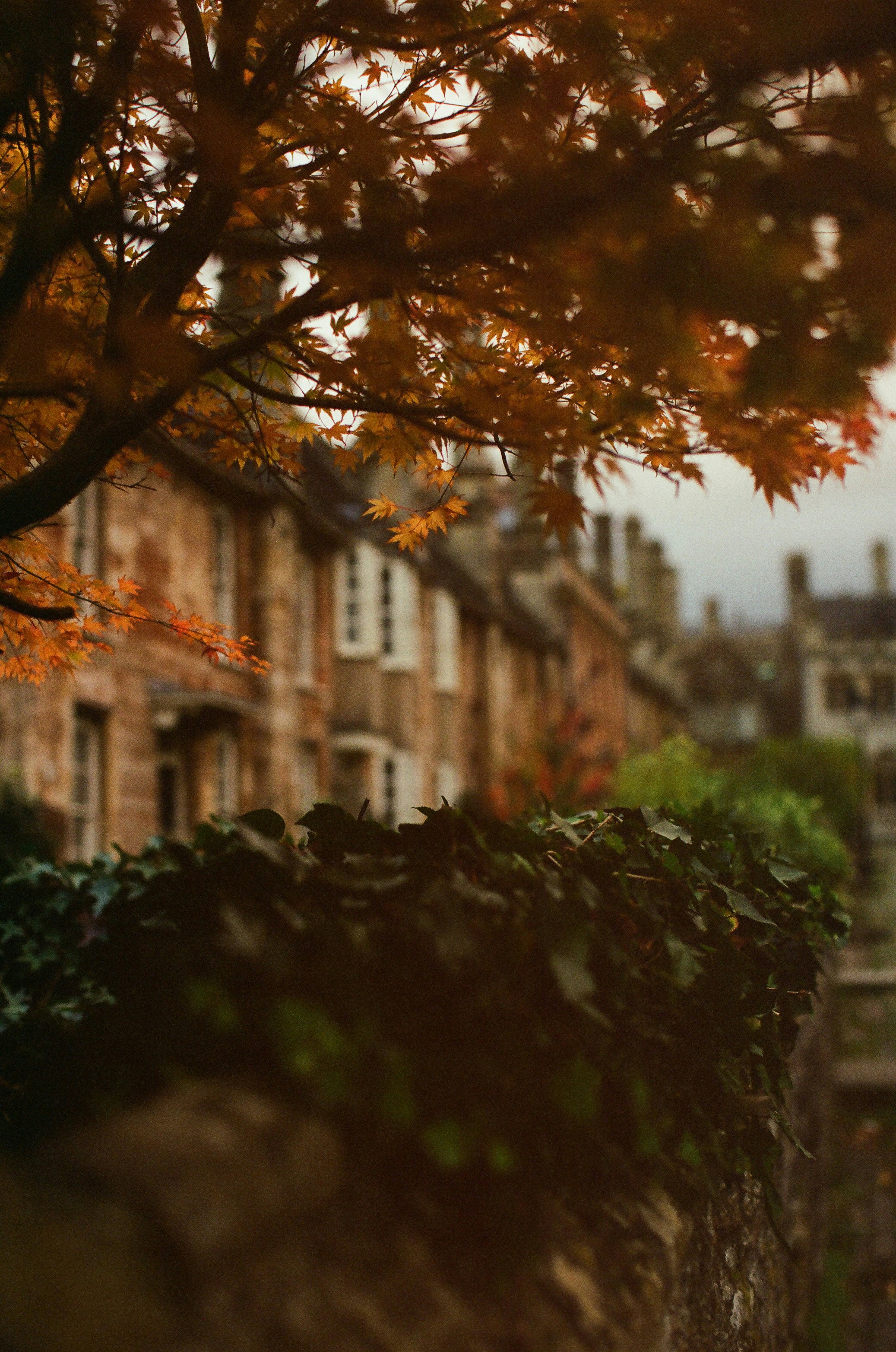 Autumn leaves frame historic stone buildings in a village.