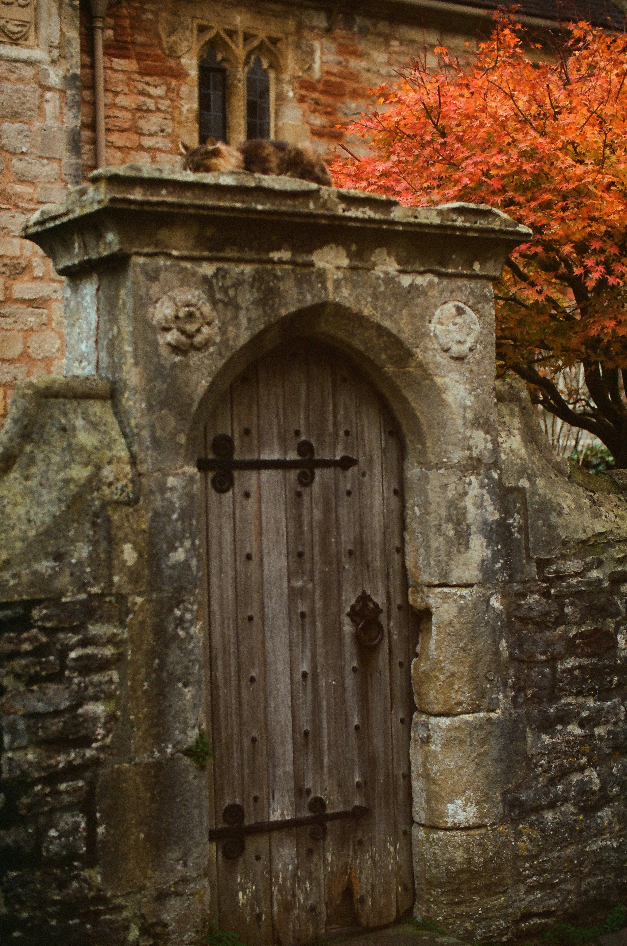 Photo by tanyabarrow