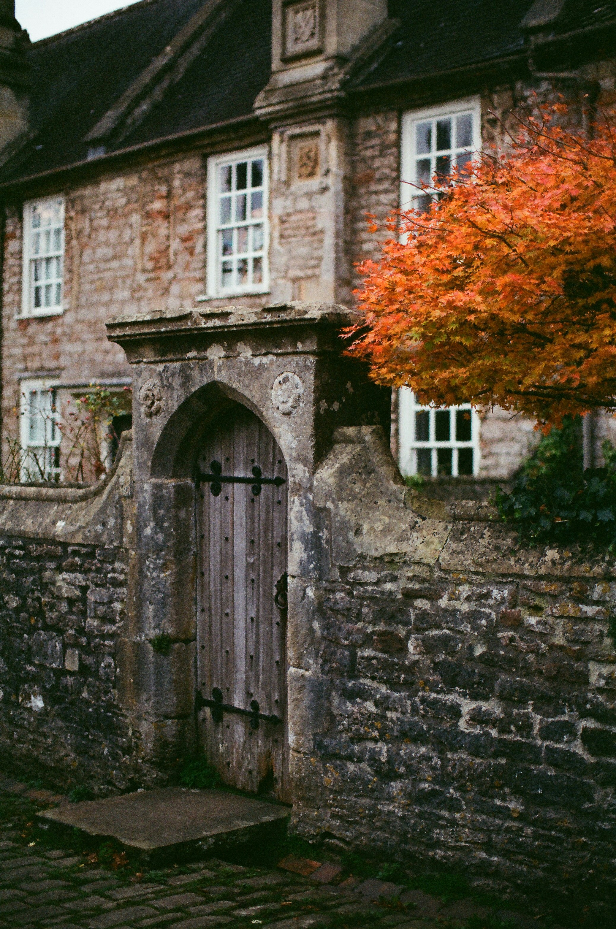 Photo by tanyabarrow