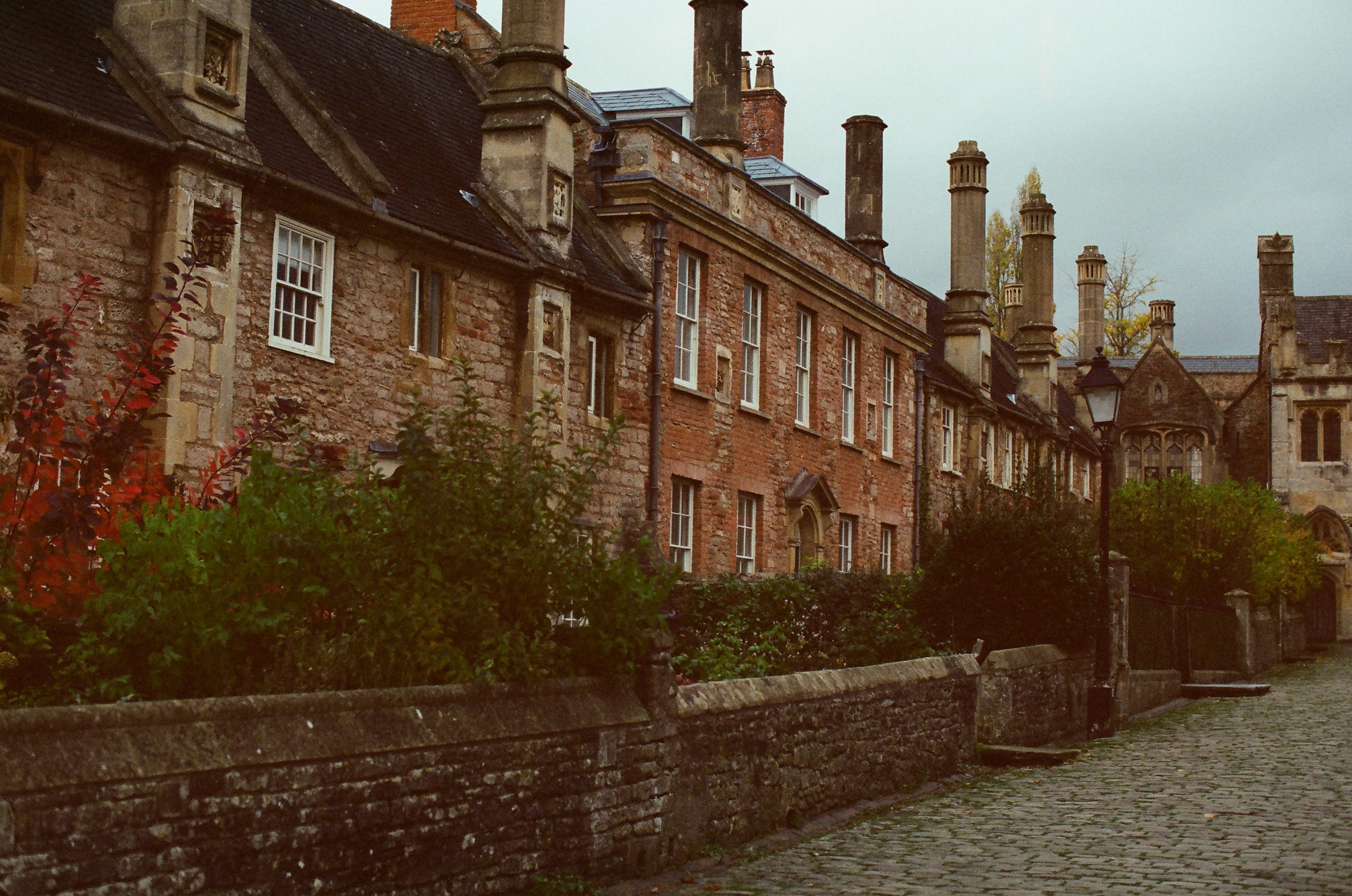 Photo by tanyabarrow