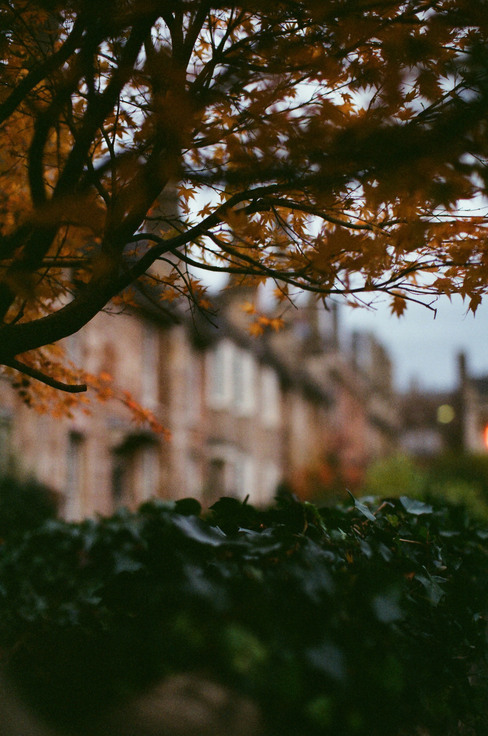 Photo by tanyabarrow