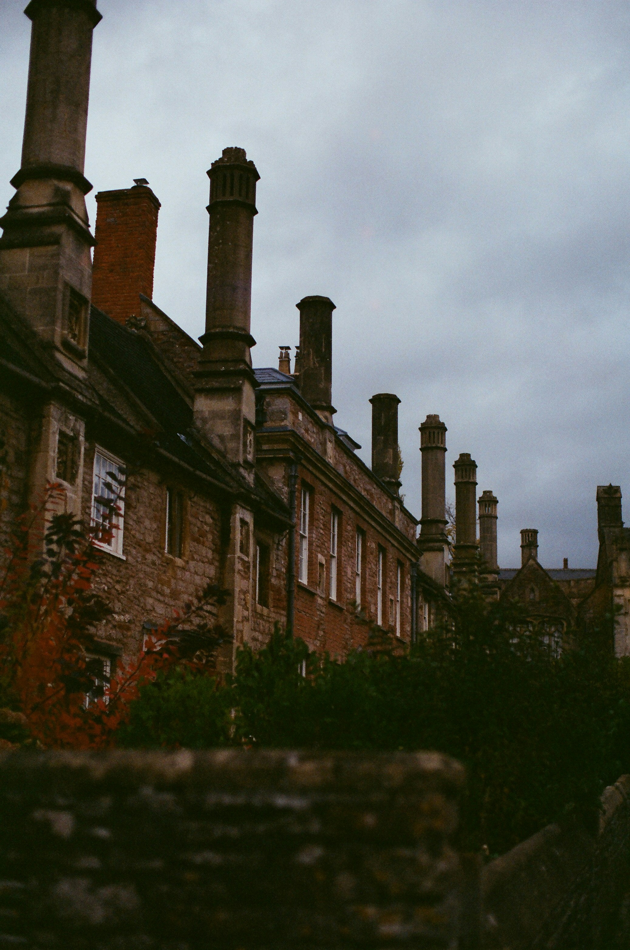 Photo by tanyabarrow